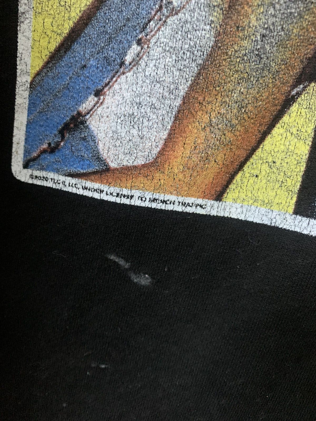 Other TLC 2020 sweatshirt Size US M / EU 48-50 / 2 - 3 Thumbnail