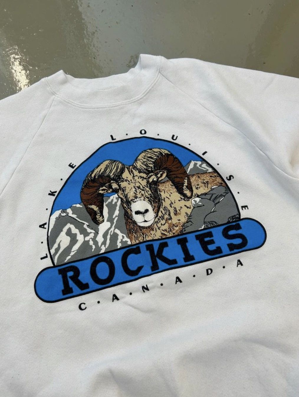 Vintage Fruit of the Loom Rockies Sweater Size L / US 10 / IT 46 - 2 Thumbnail