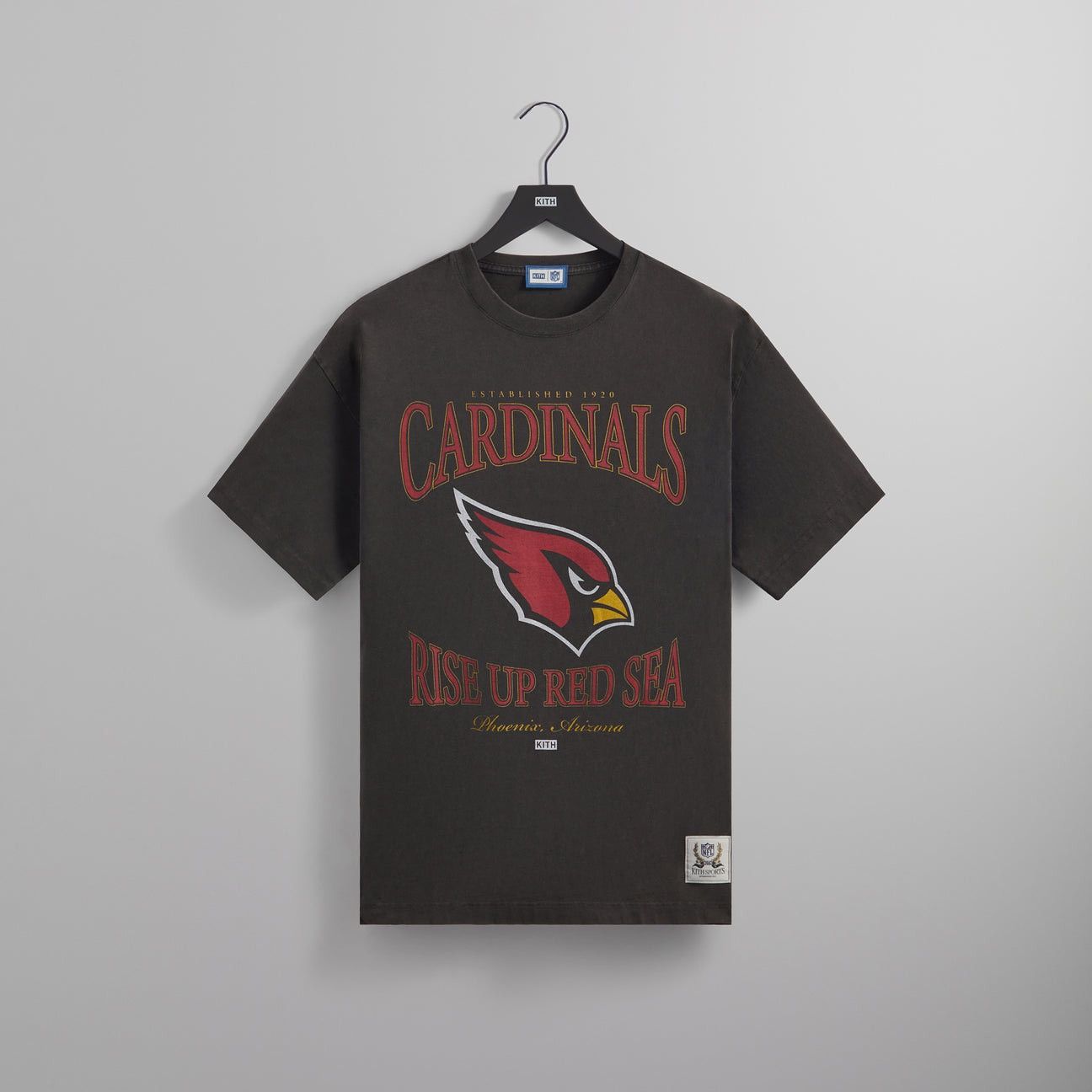 image of Kith x Nfl Arizona Cardinals Vintage Tee in Black, Men's (Size 2XL)