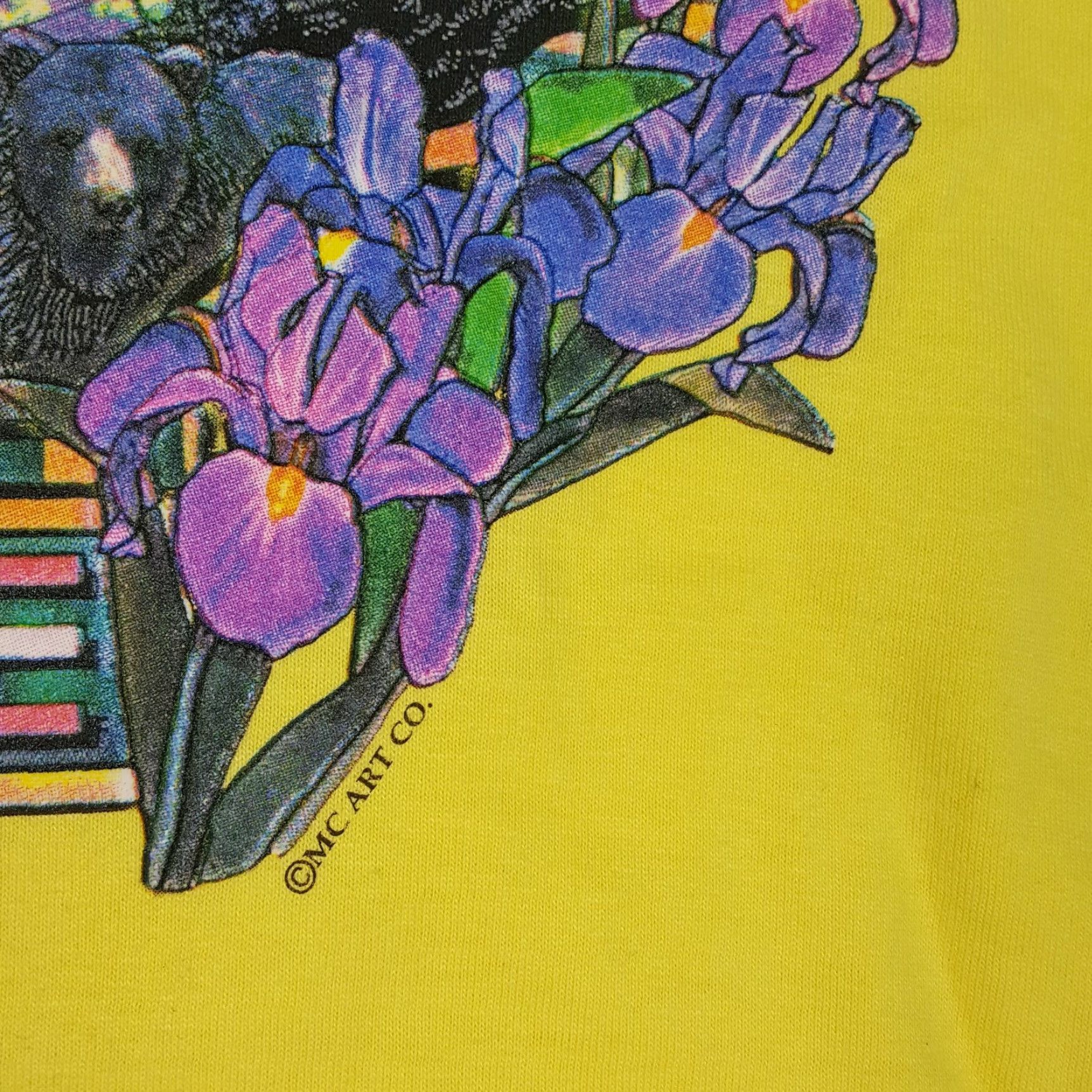 Fruit Of The Loom Tennessee Country Music State Men's Size XL Retro Yellow Outdoor Crew T Shirt Size US XL / EU 56 / 4 - 5 Thumbnail