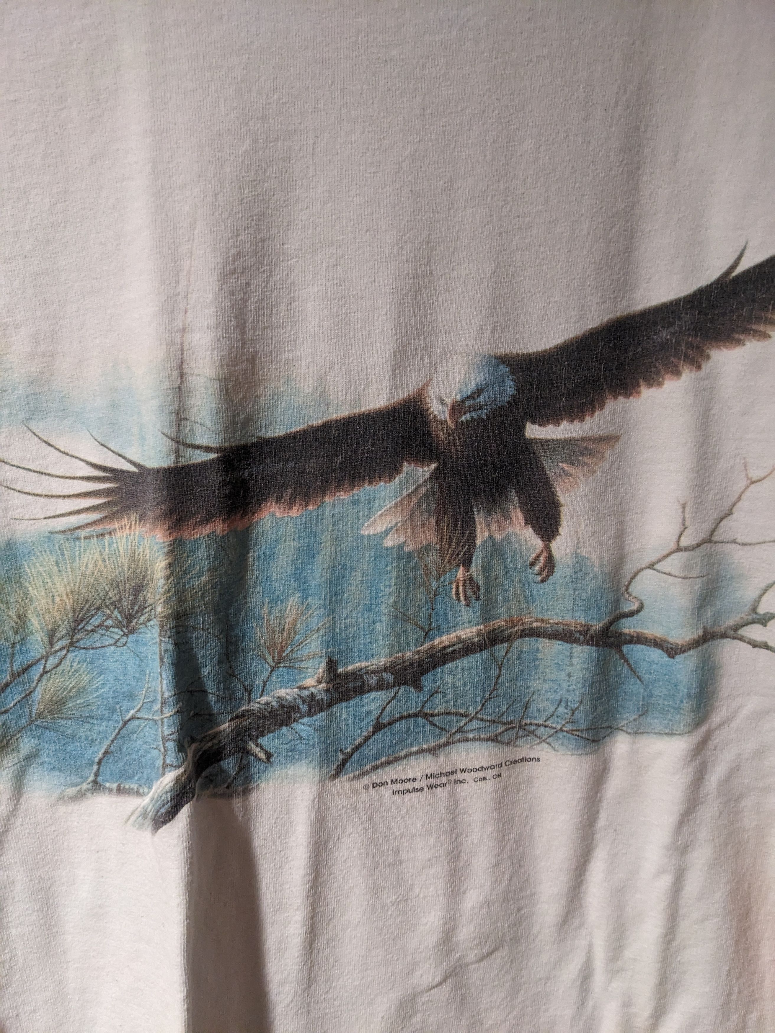 Other Vintage Y2K Eagle Animal Nature Soaring Long-Sleeve T-Shirt Size US M / EU 48-50 / 2 - 2 Thumbnail