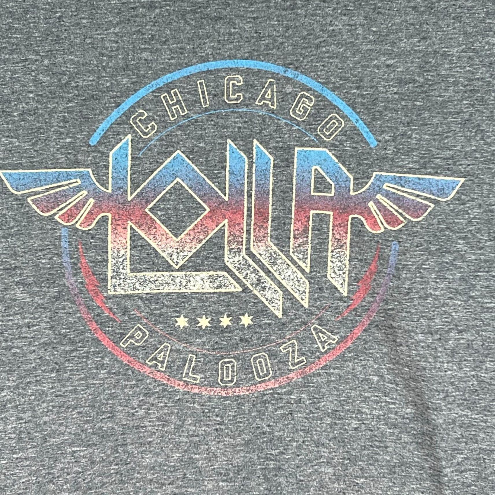 Doublet VINTAGE Lolla Palooza Chicago T-Shirt Adult XL Blue Double-Sided Graphic Concert Mens Size US XL / EU 56 / 4 - 2 Thumbnail
