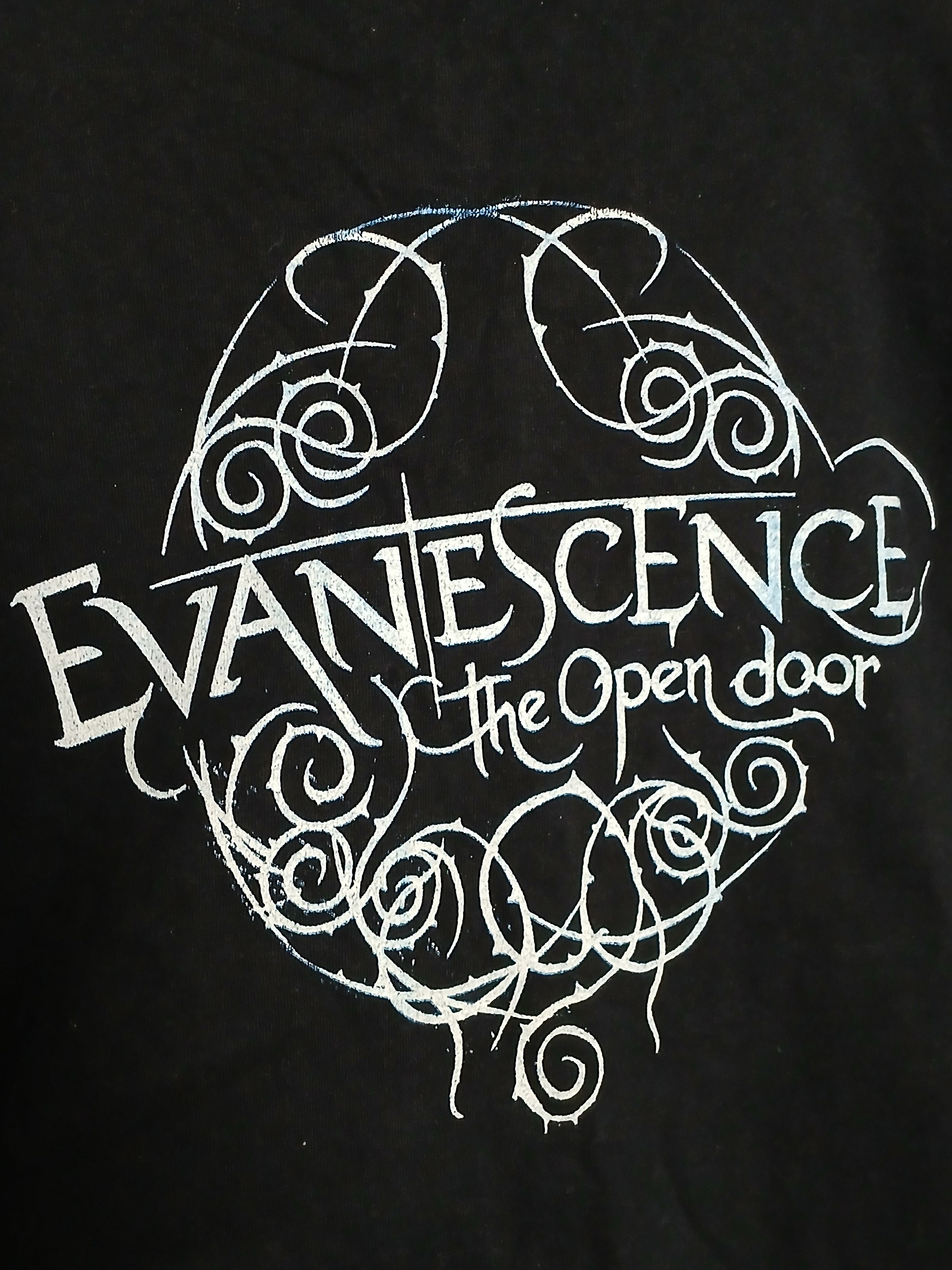 Band Tees × Vintage Vintage 2006 Evanescence The Open Door T-Shirt Size US S / EU 44-46 / 1 - 4 Thumbnail