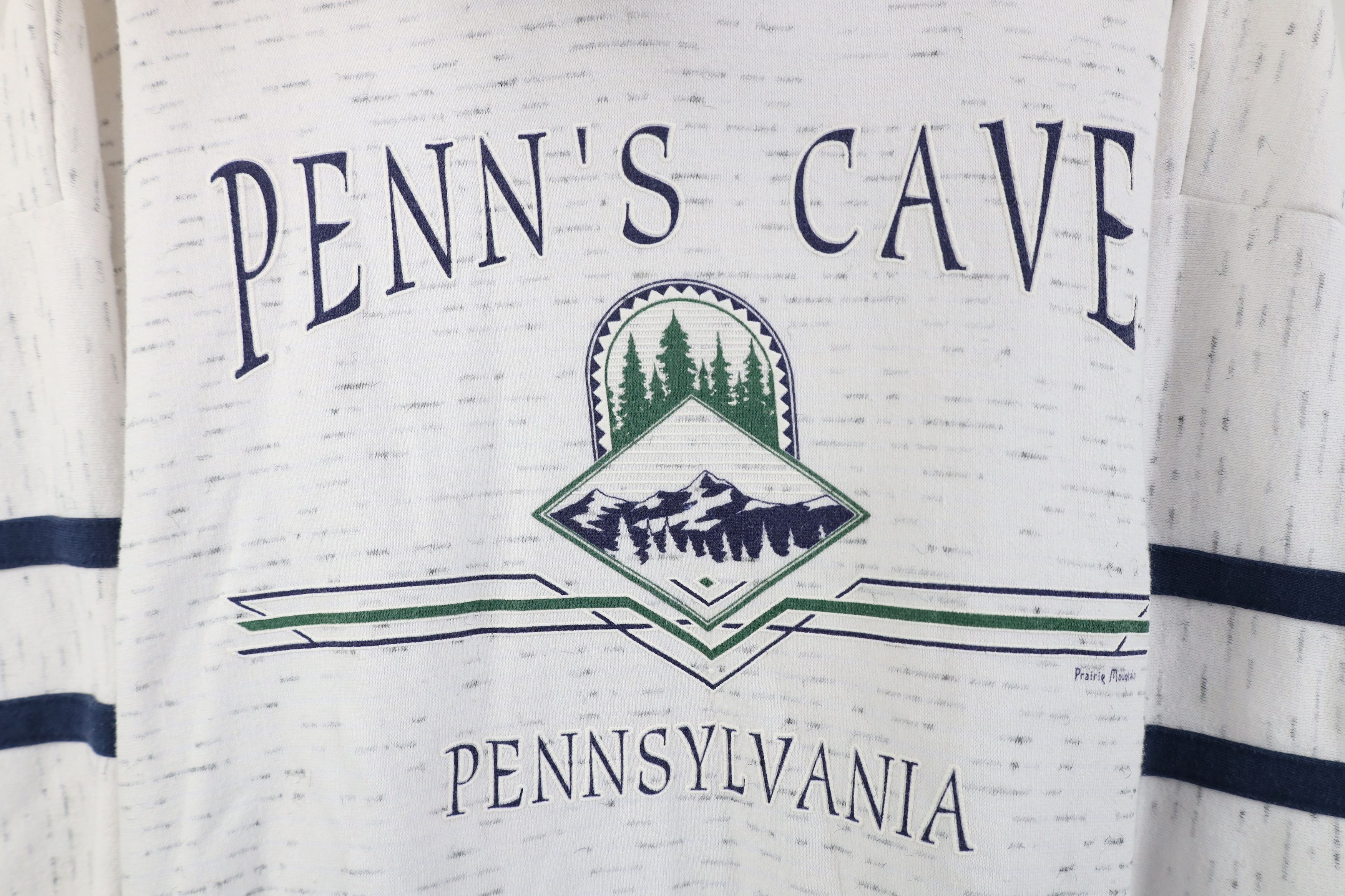 Vintage Vintage 90s Streetwear Pennsylvania Hoodie Sweatshirt USA Size US XL / EU 56 / 4 - 4 Thumbnail