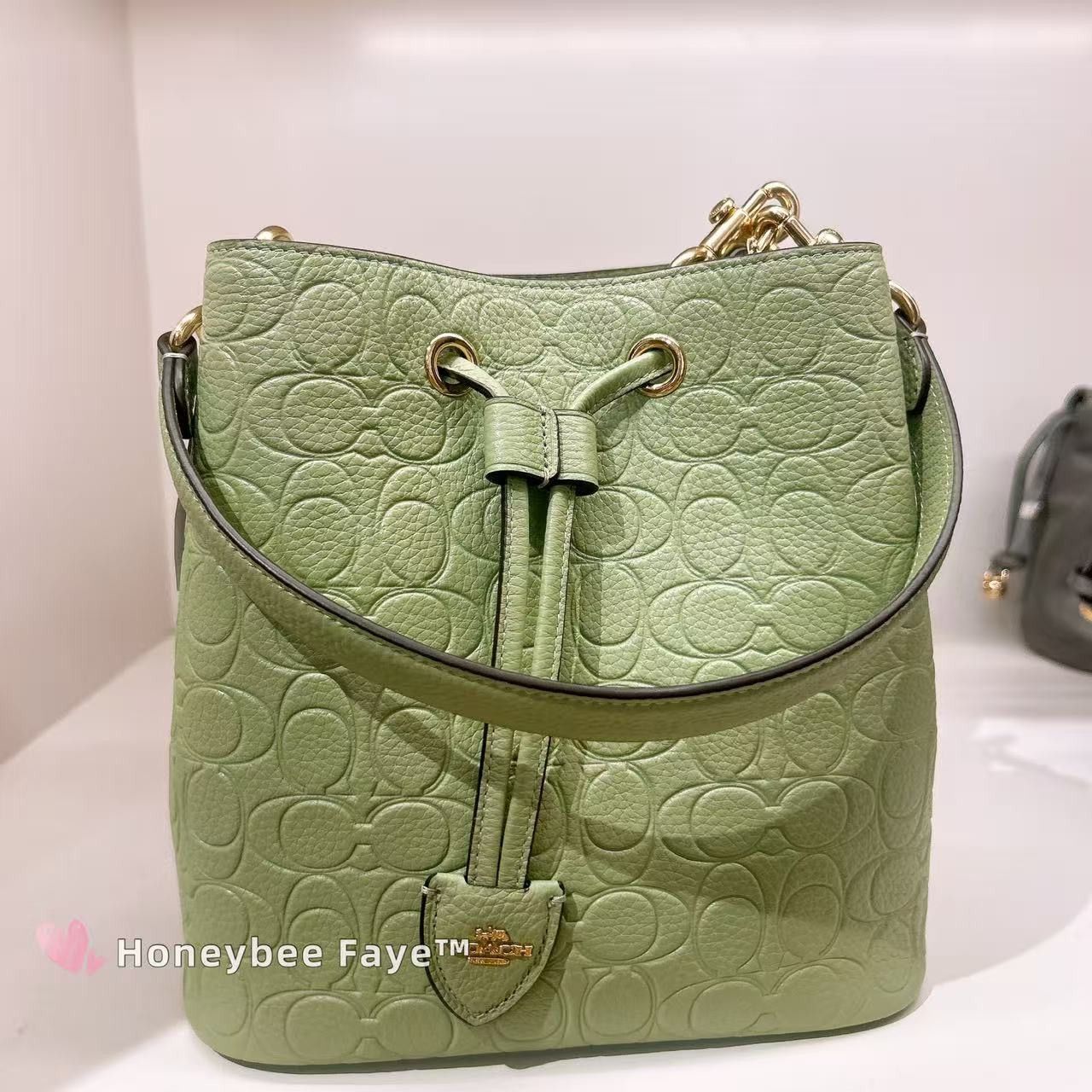 Coach Rowan Bucket Bag In Signature Leather CEA96 Gold/Pistachio Size ONE SIZE - 1 Thumbnail