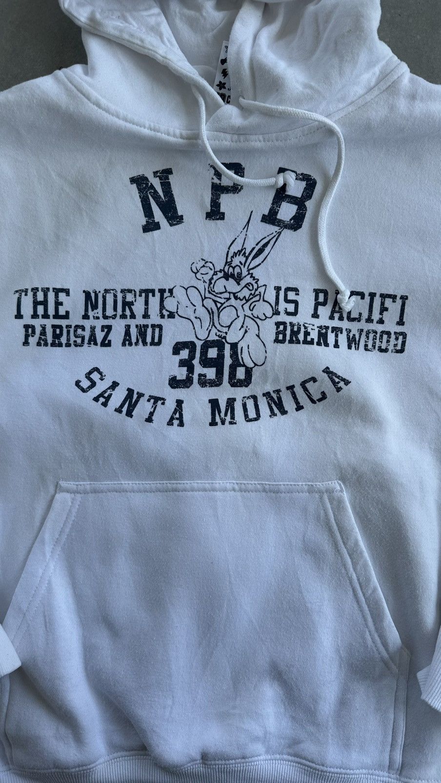 Vintage BAY LEAF SANTA MONICA HOODIE Size US M / EU 48-50 / 2 - 2 Thumbnail