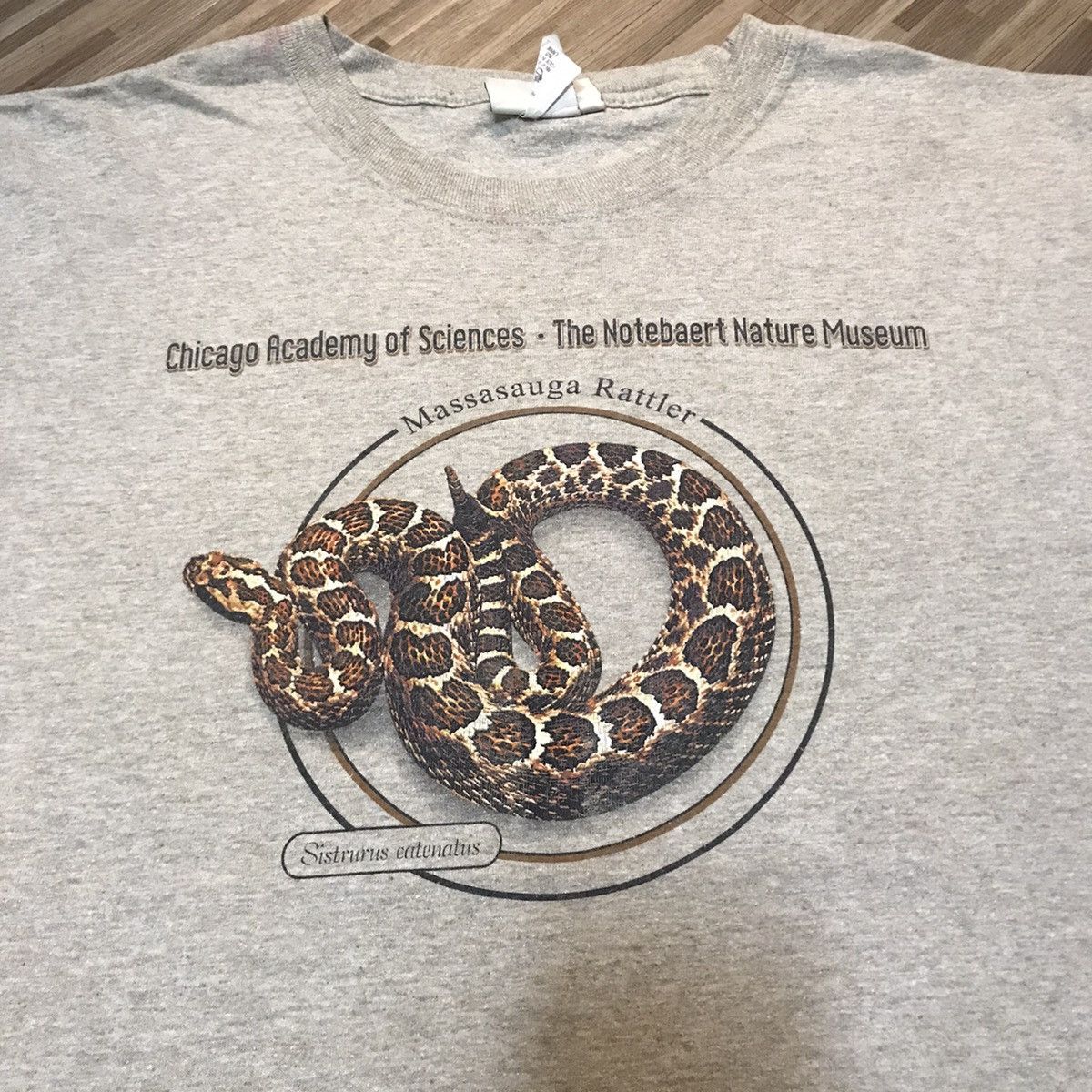 Vintage VINTAGE Y2K MASSASAUGA RATTLER SNAKE SISTRURUS CATENATUS TEE Size US L / EU 52-54 / 3 - 2 Thumbnail