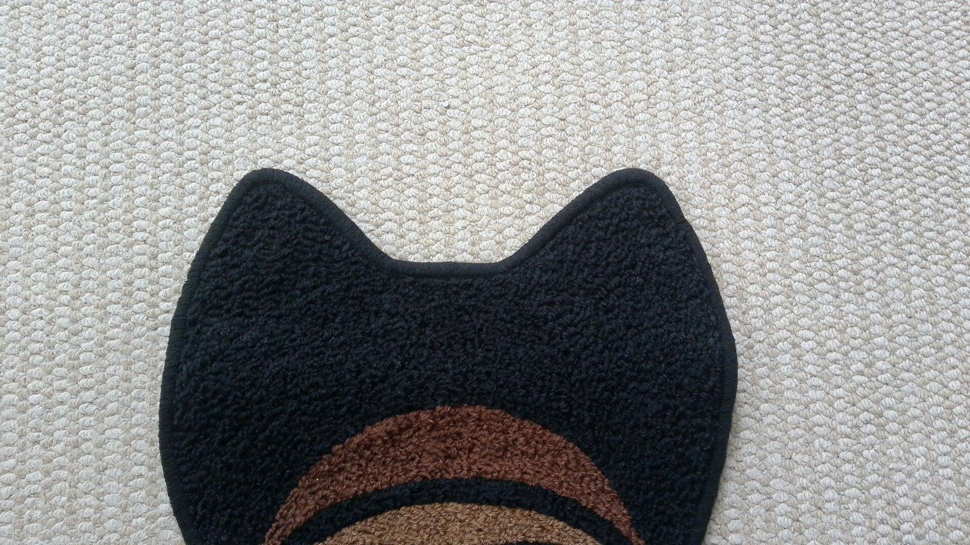Tyler the Creator Chromakopia Carpet