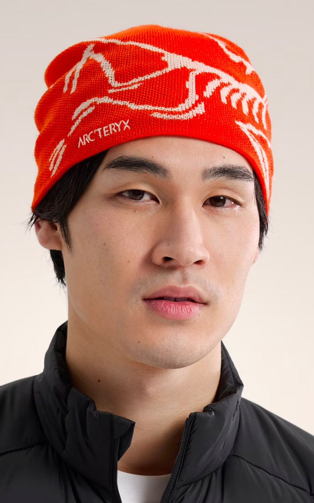 Arc'teryx Arc’teryx Bird Head Toque Beanie Dynasty/Arc Silk Size ONE SIZE - 2 Thumbnail