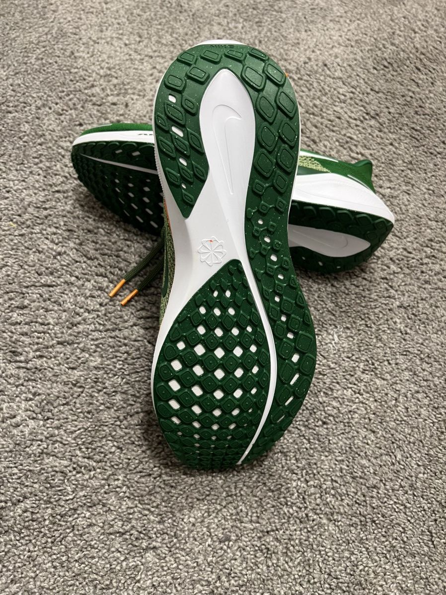 Nike Nike Air Pegasus 41 FAMU Size US 10.5 / EU 43-44 - 4 Thumbnail