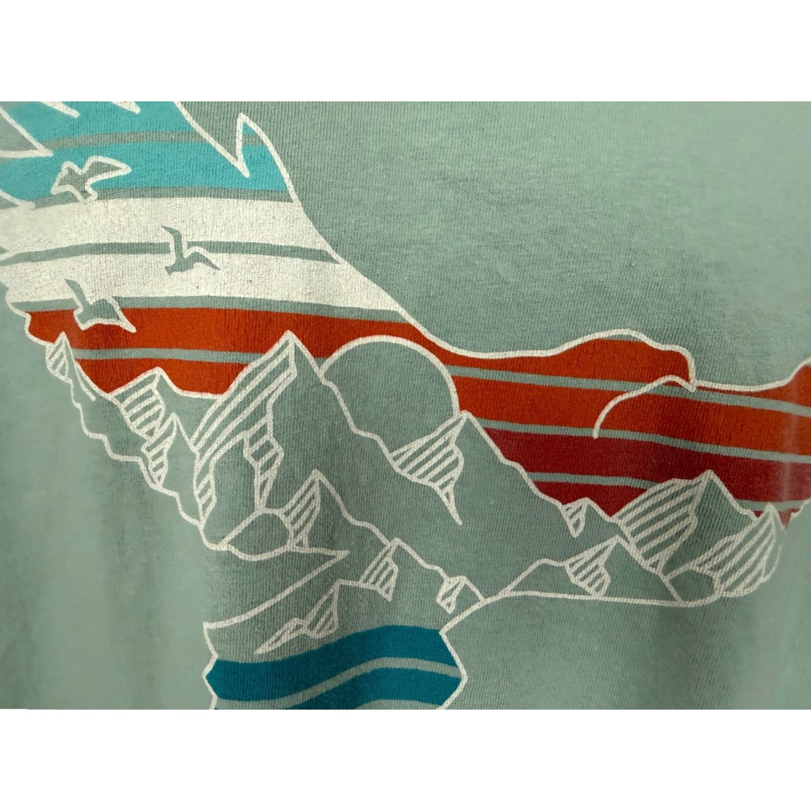 Comfort Colors Sitka Alaska Shirt Men XL Green Cotton T-Shirt Crew Neck Short Sleeve Graphic Print Bird Nature Outdoor Decade 2000s (If applicable) Size US XL / EU 56 / 4 - 4 Thumbnail