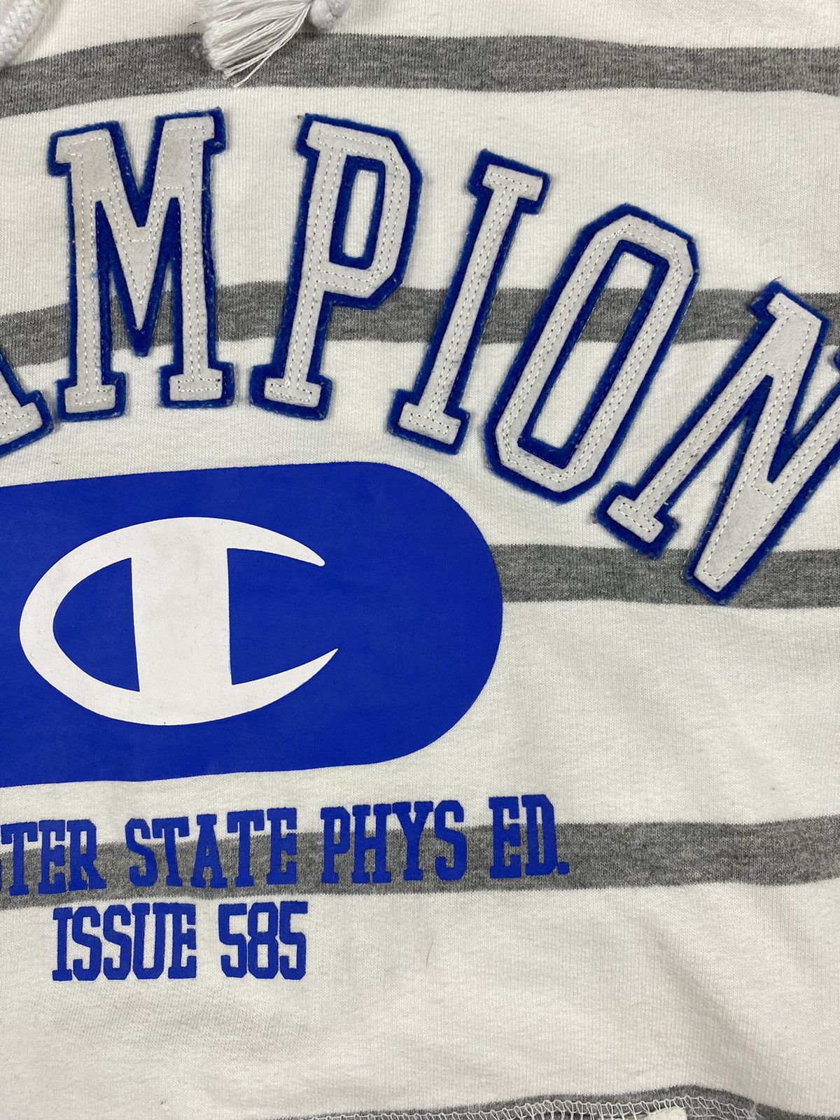 Champion Vintage Champion Vest Hoodie Rochester State Size US M / EU 48-50 / 2 - 7 Thumbnail