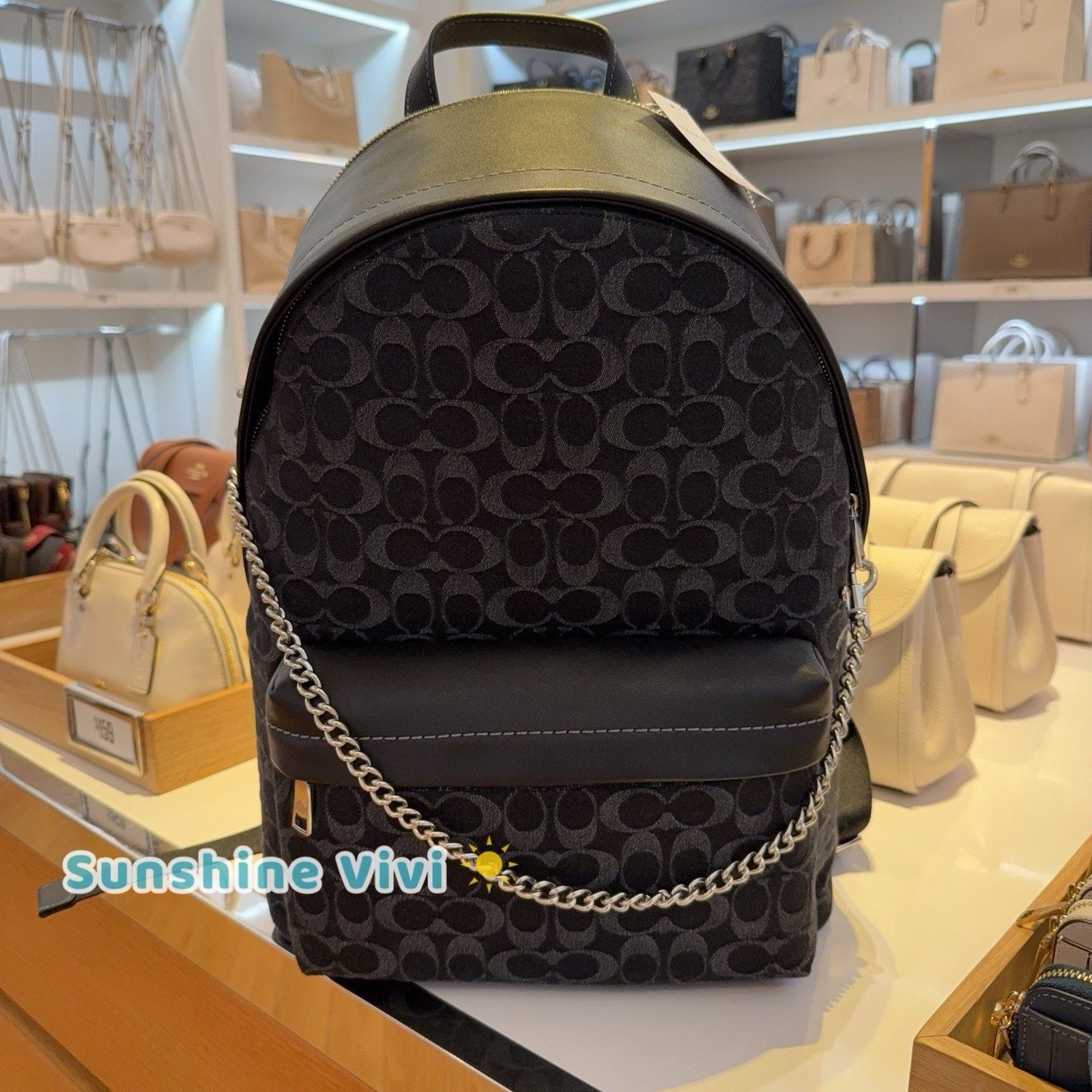 Coach NWT Bundle Coach Taylor Backpack CDC49 & CR466 Chain Strap Size ONE SIZE - 9 Thumbnail