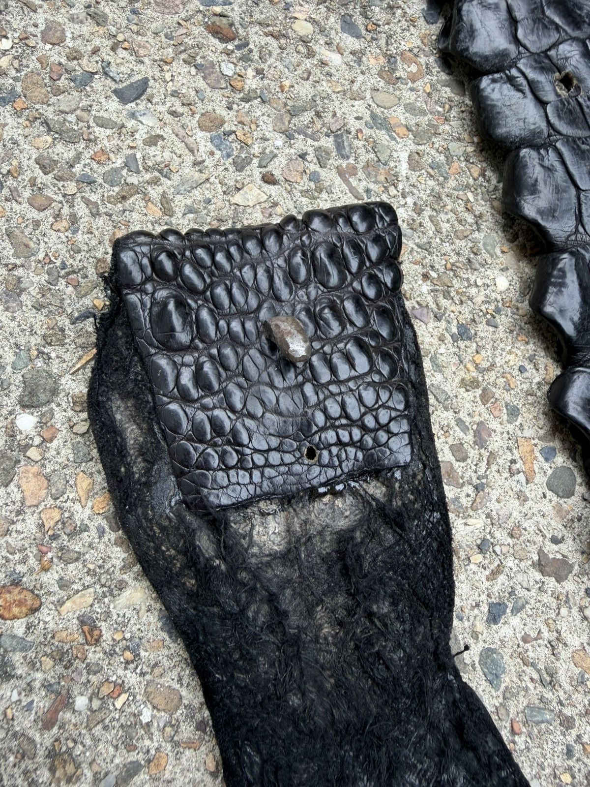 Other Vintage Black Crocodile Leather Belt – Statement / Texture Size ONE SIZE - 5 Thumbnail