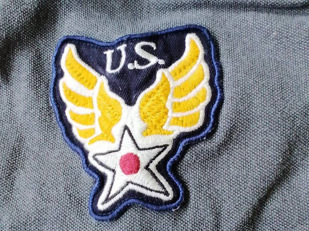 Avirex AVIREX air force eagle Unit Embroidery Polo Shirt Size US L / EU 52-54 / 3 - 4 Thumbnail