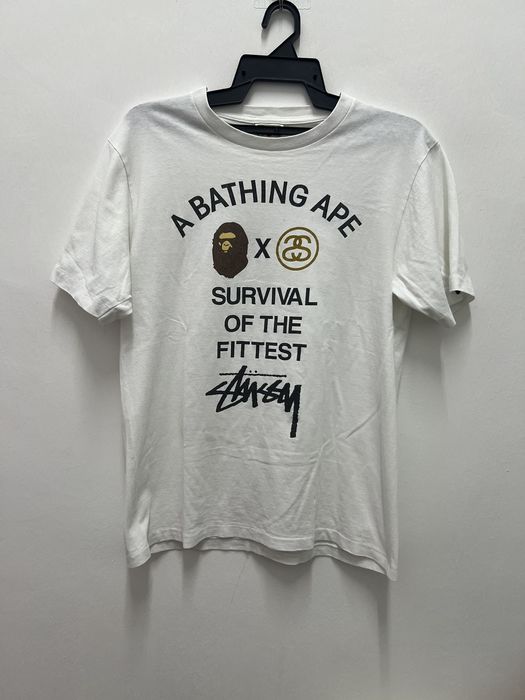 Bape x stussy survival of best sale the fittest