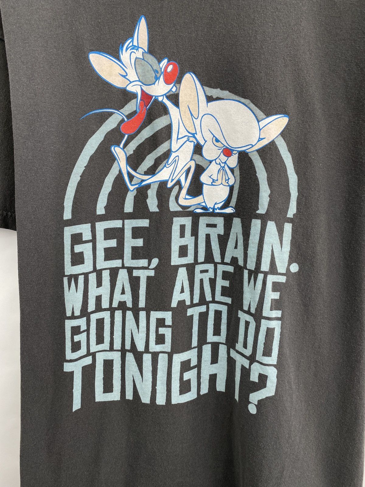 Cartoon Network 🇺🇸 Vintage Y2K Pinky The Brain Movie Warner Bros 2007 T-Shirt Size US XL / EU 56 / 4 - 4 Thumbnail