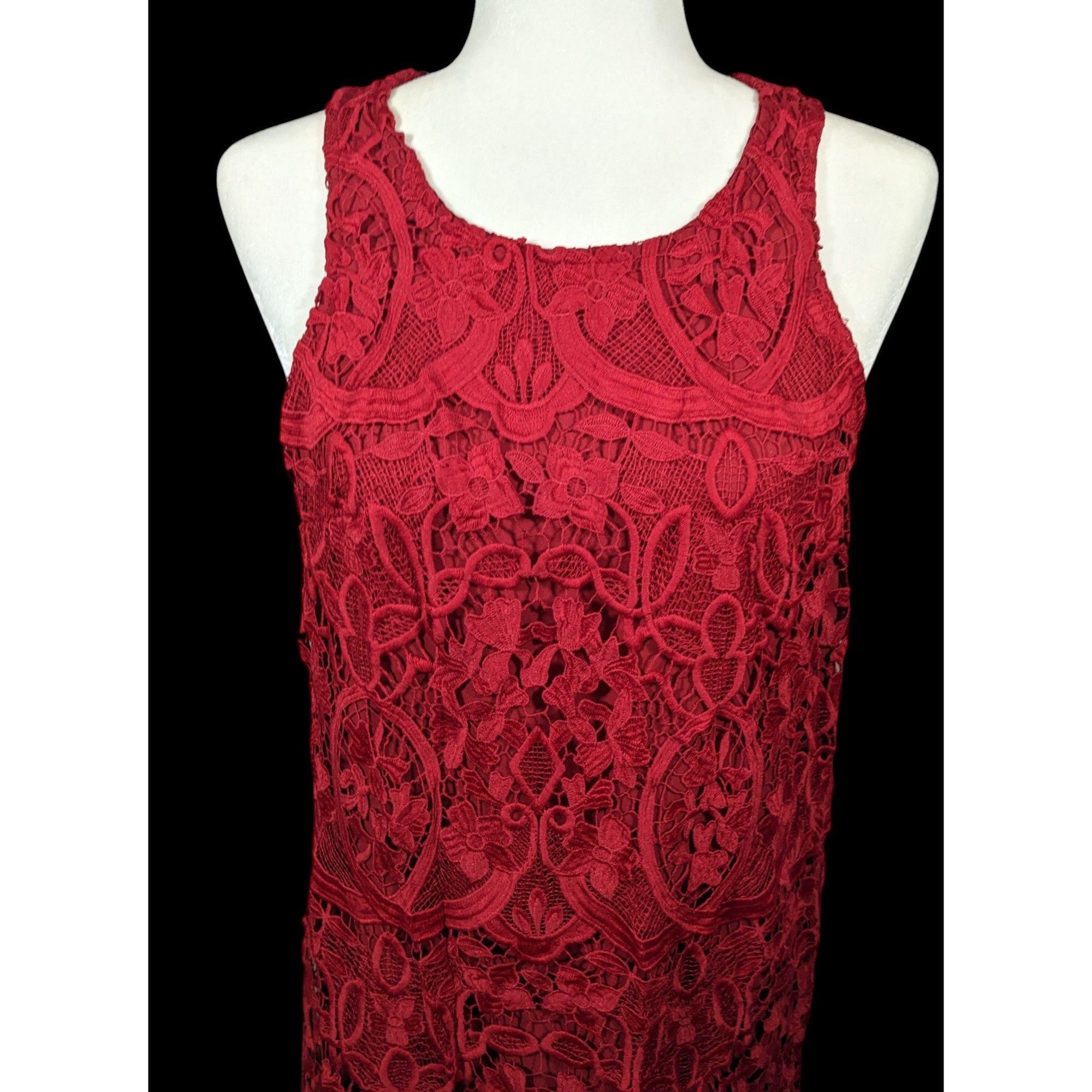 Lovers and Friends Lovers + Friends Caspian Red Lace Shift Dress Size Large Size L / US 10 / IT 46 - 4 Thumbnail
