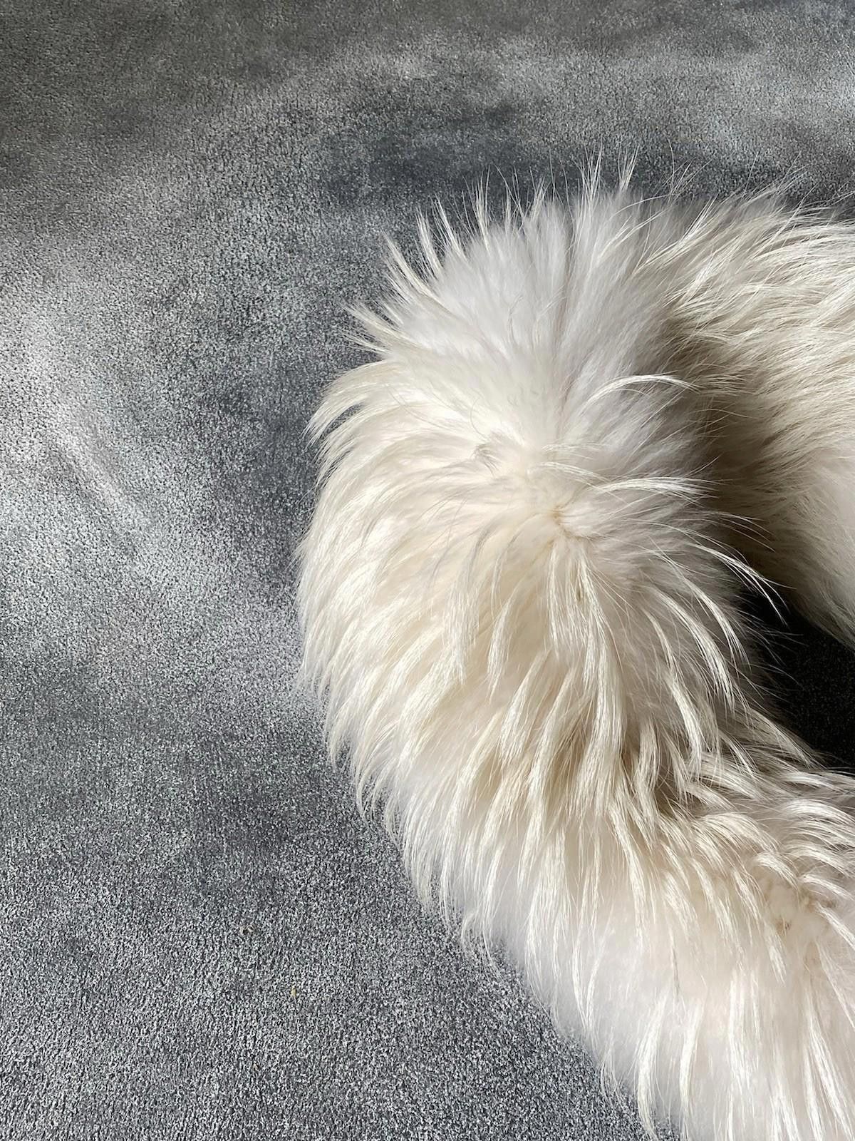 Other 2014 Alexander McQueen Real Fur Finnraccoon Scarf /Collar Size ONE SIZE - 9 Thumbnail