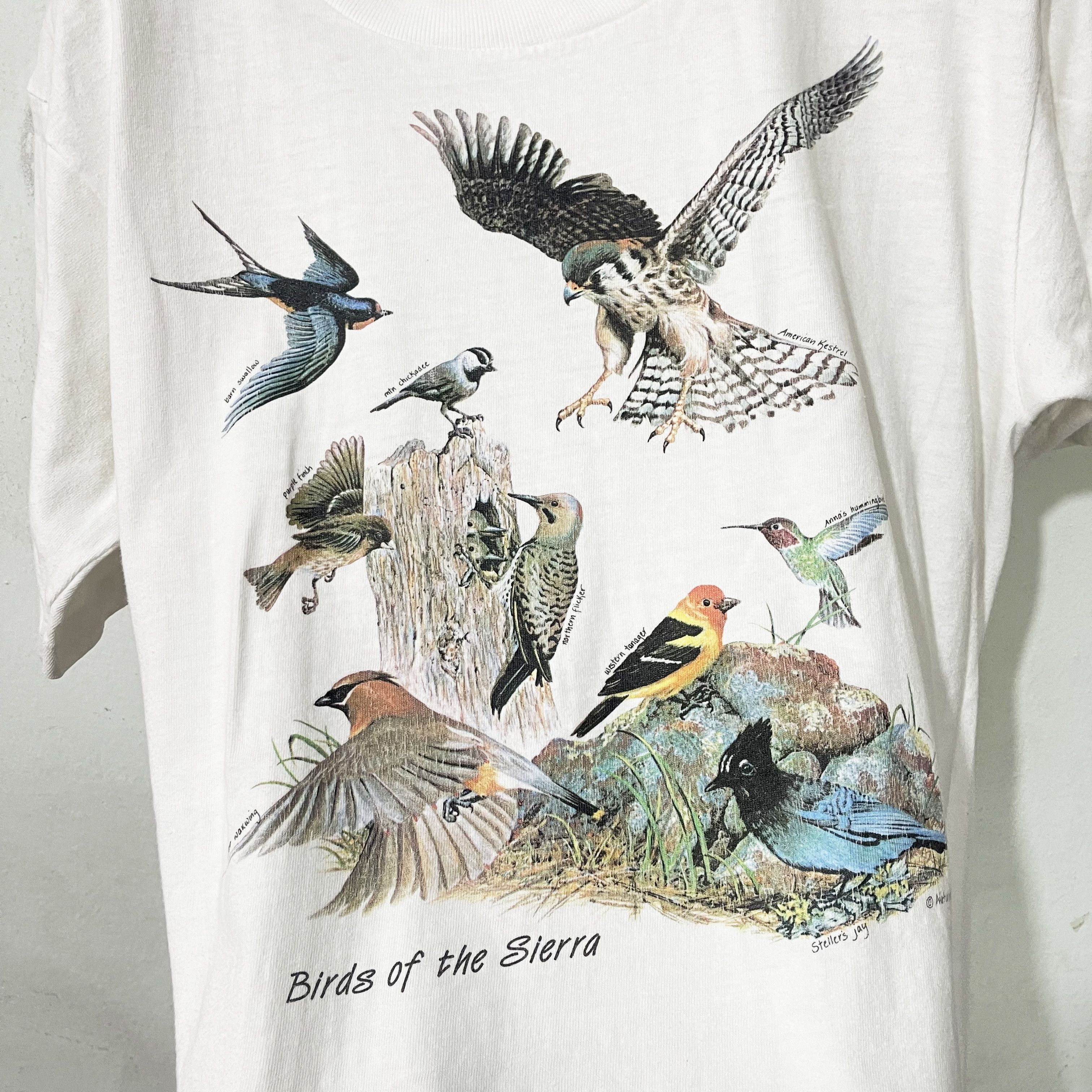 Vintage Vintage 90s Birds of the Sierra T-Shirt Size US M / EU 48-50 / 2 - 2 Thumbnail
