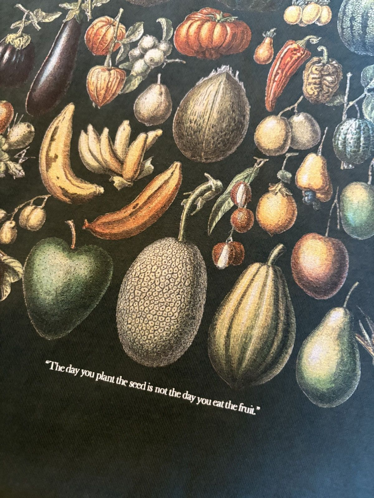 Kith Kith Fruits and Vegetables Tee Size US S / EU 44-46 / 1 - 3 Thumbnail