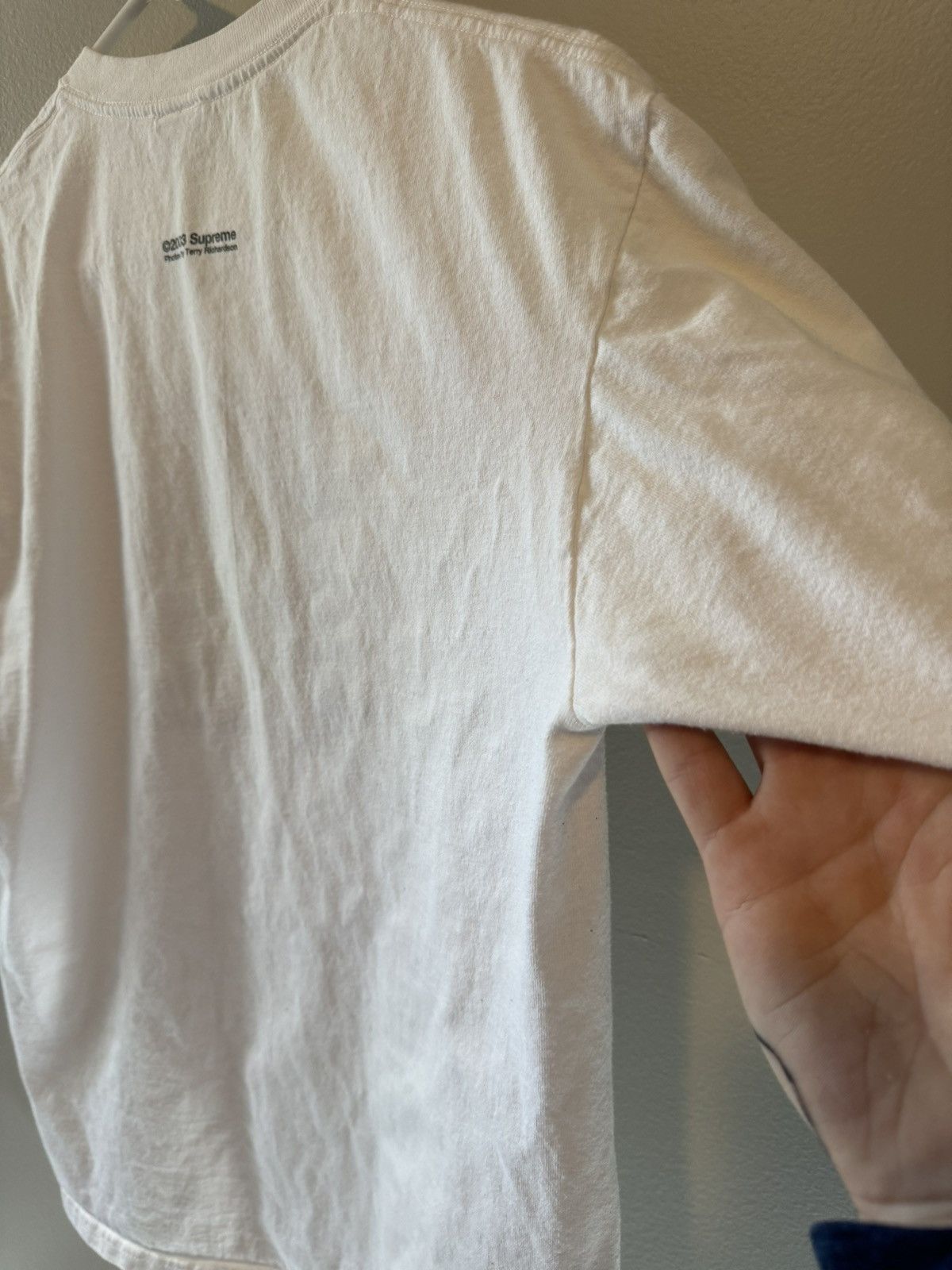 Supreme Supreme Terry Richardson Tee 2003 White Medium Vintage 