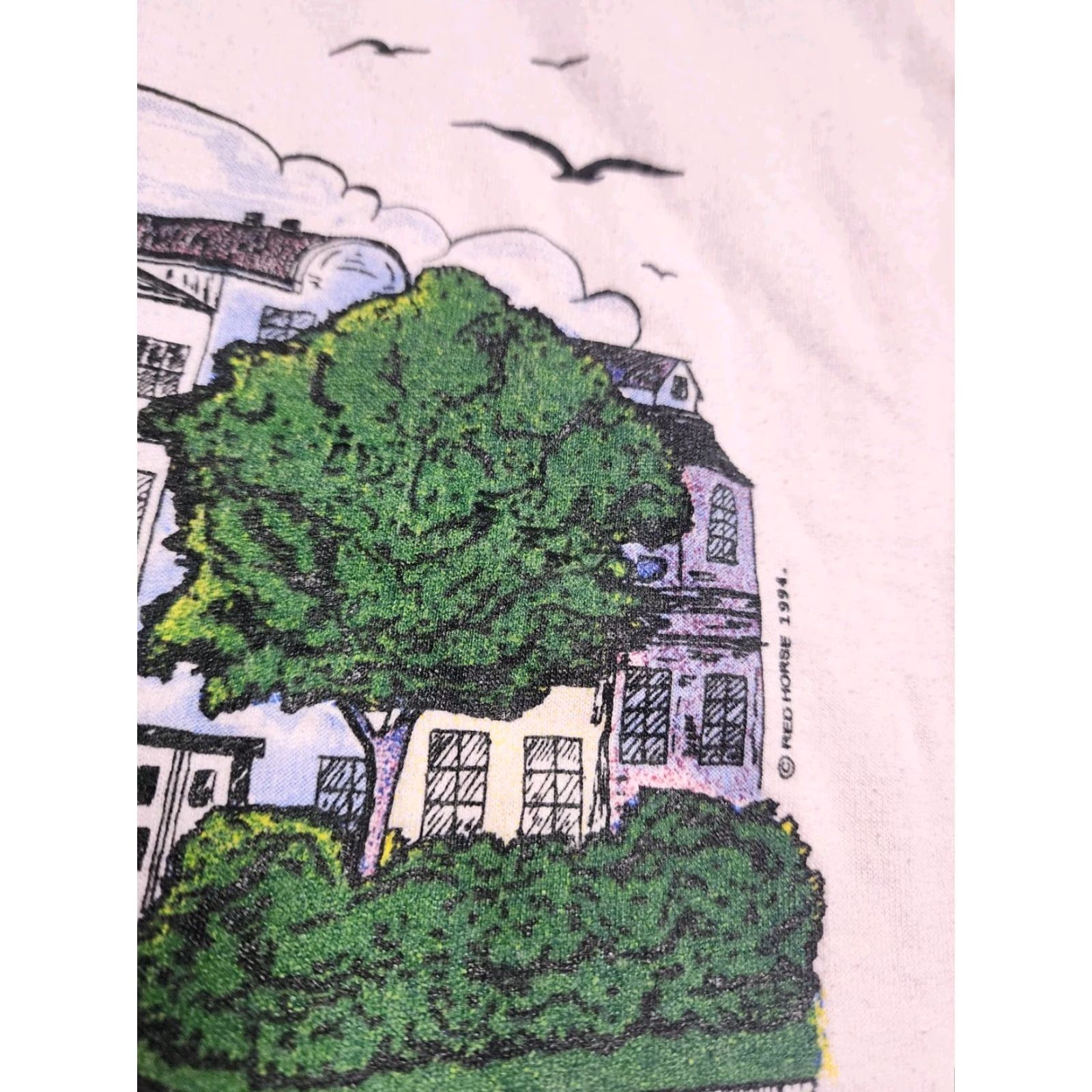 Hanes Vintage Hanes Mens Large Pink Rainbow Row Charleston SC Tourist Souvenir T-Shirt 90s Travel South Carolina Crew Neck Short Sleeve Size L / US 10 / IT 46 - 4 Thumbnail
