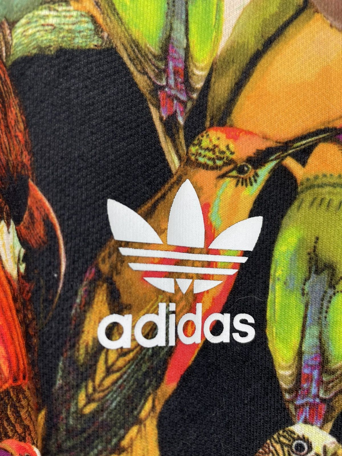 Adidas Adidas overprinted bird photos sweatshirt Size XS / US 0-2 / IT 36-38 - 4 Thumbnail