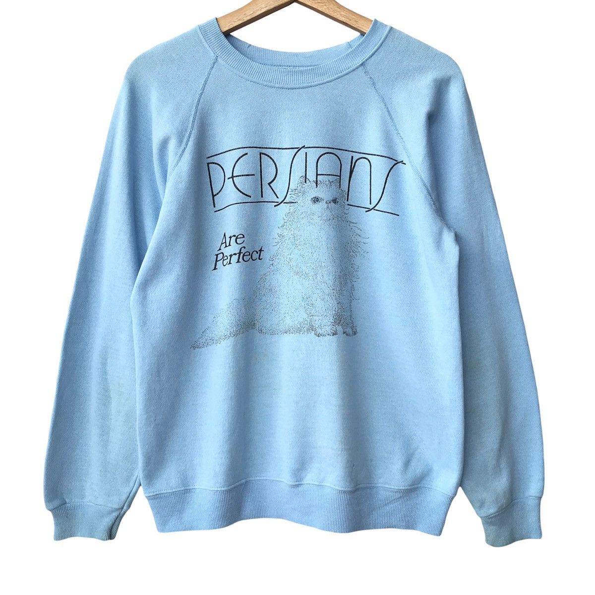 Hanes × Vintage Hanes USA Vintage 1980s Persian Cats Faded Sweatshirt Size US M / EU 48-50 / 2 - 1 Thumbnail
