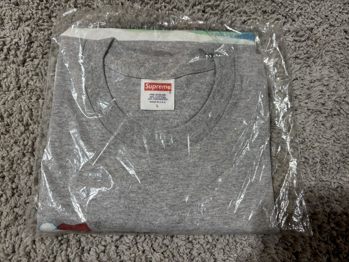 Supreme Supreme Playboi Carti Heather Grey T Shirt Size L