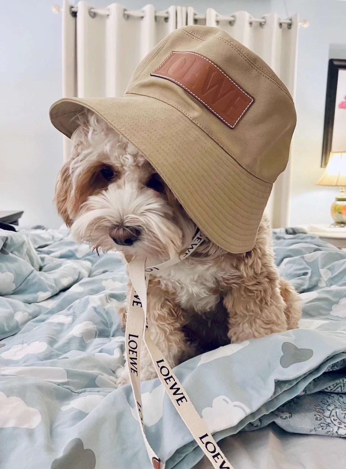 Loewe LOEWE leather logo khaki bucket hat 57cm mint Size ONE SIZE - 4 Thumbnail