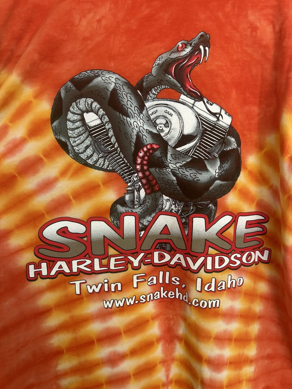 Harley Davidson Harley Davidson Fire Jester Snake Graphic Tie Dye Biker Tee Size US L / EU 52-54 / 3 - 6 Thumbnail