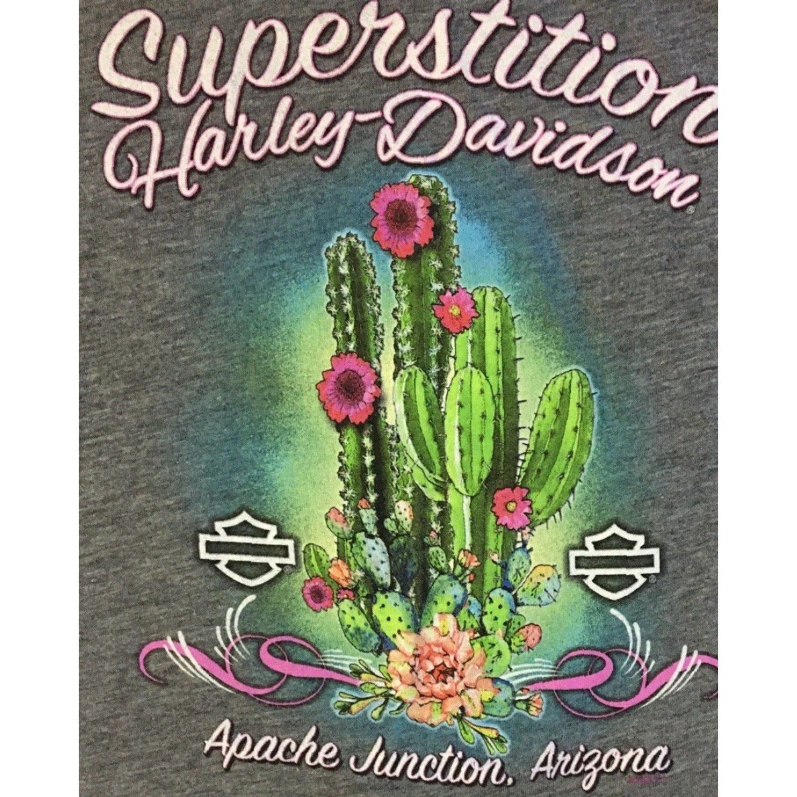 Harley Davidson Harley-Davidson Shirt Harley Apache Junction Arizona Cactus M Gray 3/4 Sleeve Vintage 90s Y2K Punk Rock Grunge Biker Art USA Mens Size US M / EU 48-50 / 2 - 3 Thumbnail
