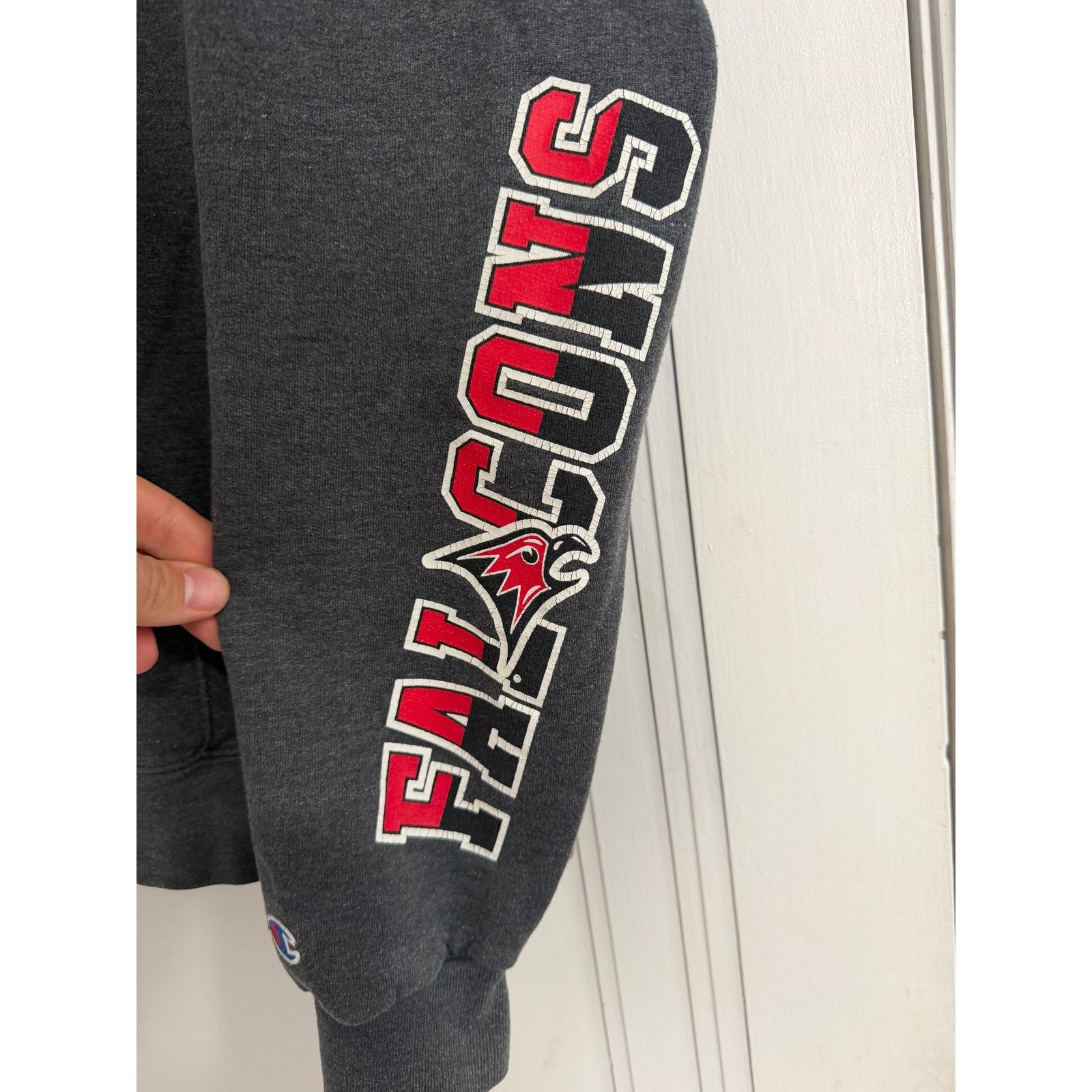 Champion UW River Falls Falcons Champion Hoodie Size Large Size US L / EU 52-54 / 3 - 3 Thumbnail