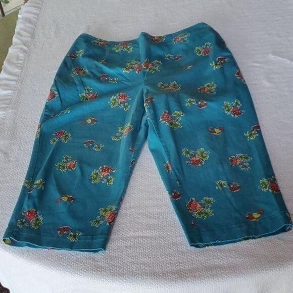 Designer Breckenridge Vintage Graphic Pullon High Rise Caribbean Sz 2 Size 36" / US 14 / IT 50 - 5 Thumbnail