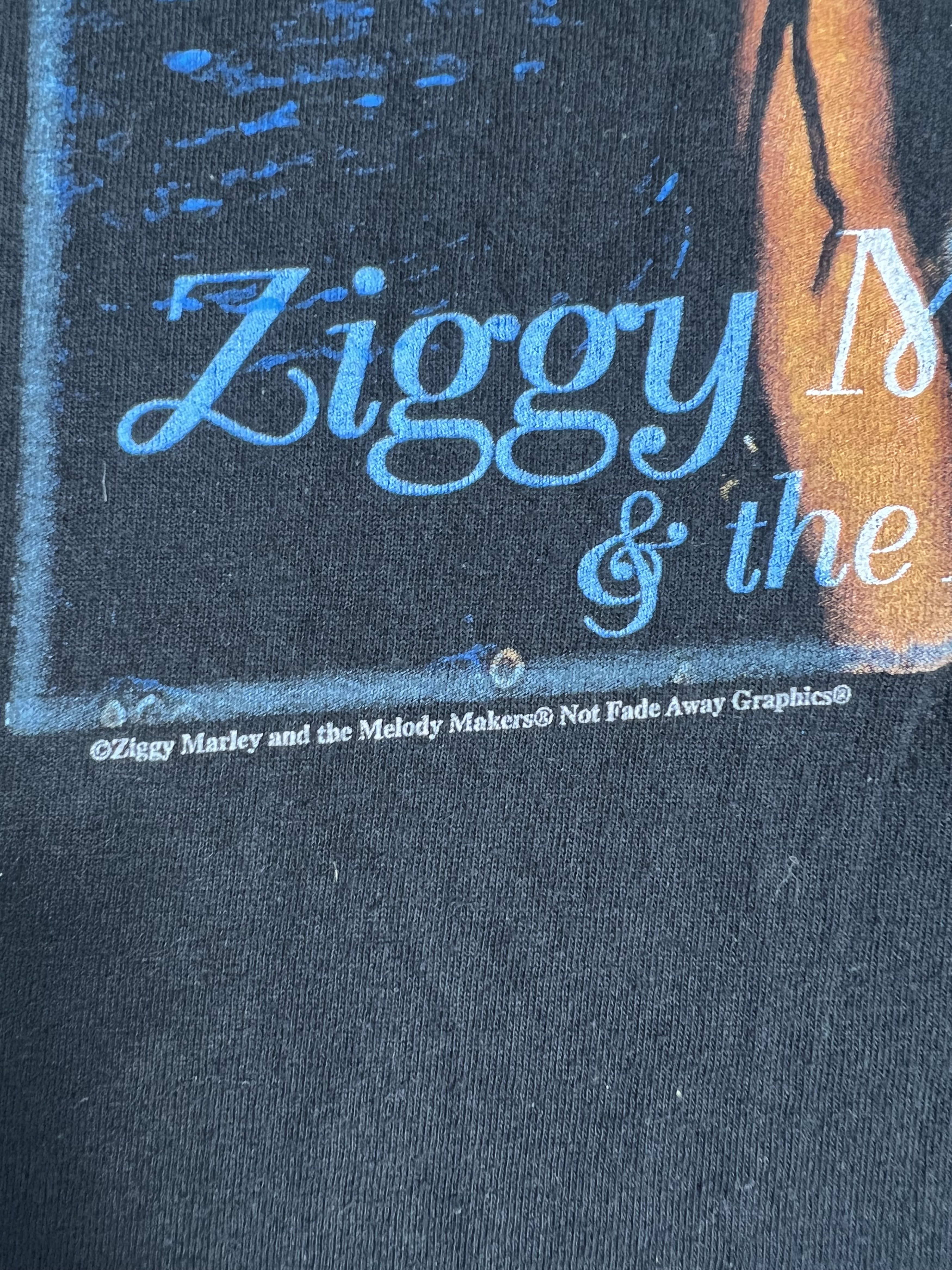 Band Tees Vtg 90s Ziggy Marley & the Melody Makers Band T (L) GTMD957 Size US L / EU 52-54 / 3 - 5 Thumbnail