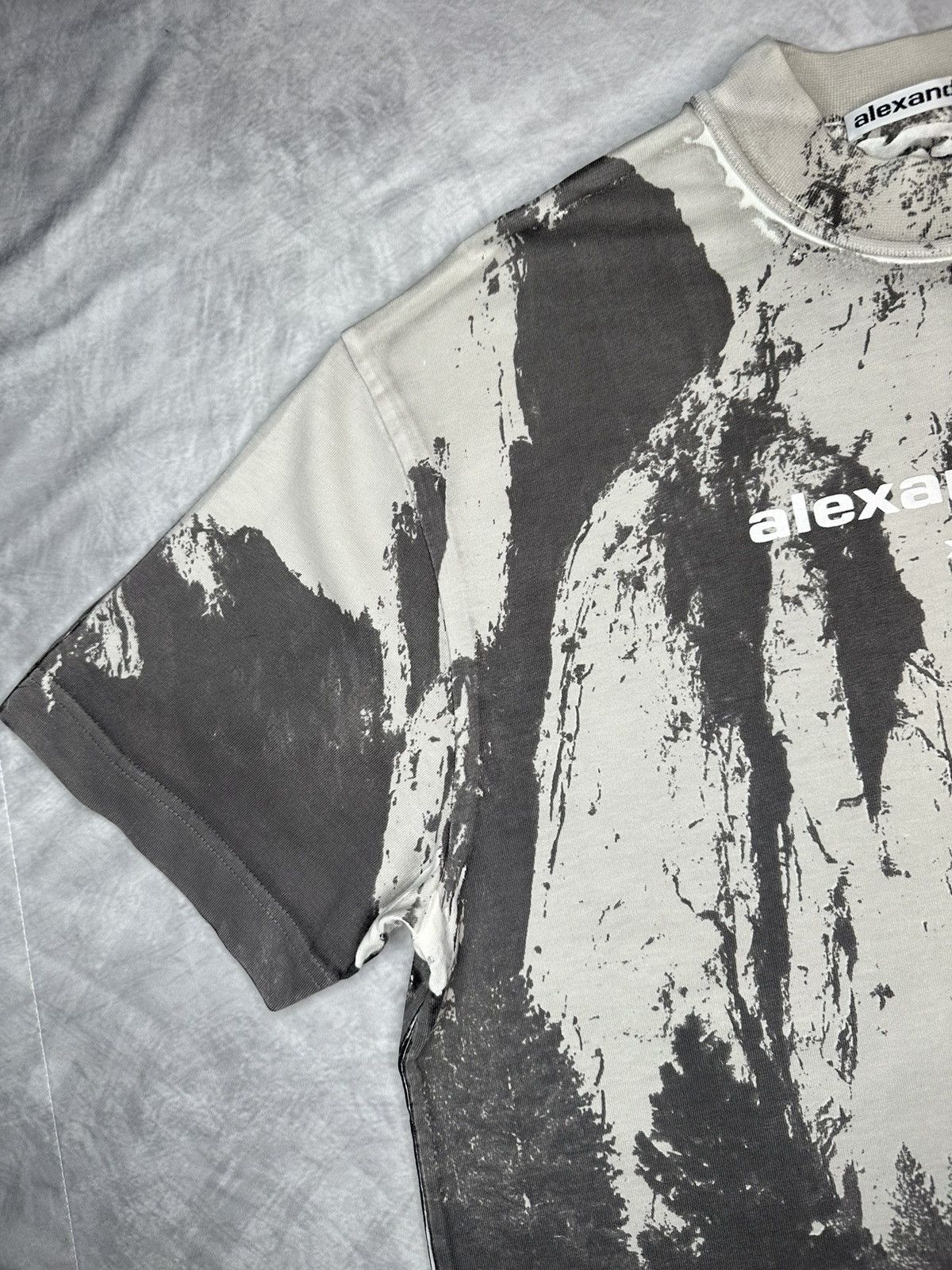 Alexander Wang × Japanese Brand Alexander Wang Cathedral Rock crew-neck T-shirt Size US S / EU 44-46 / 1 - 5 Thumbnail