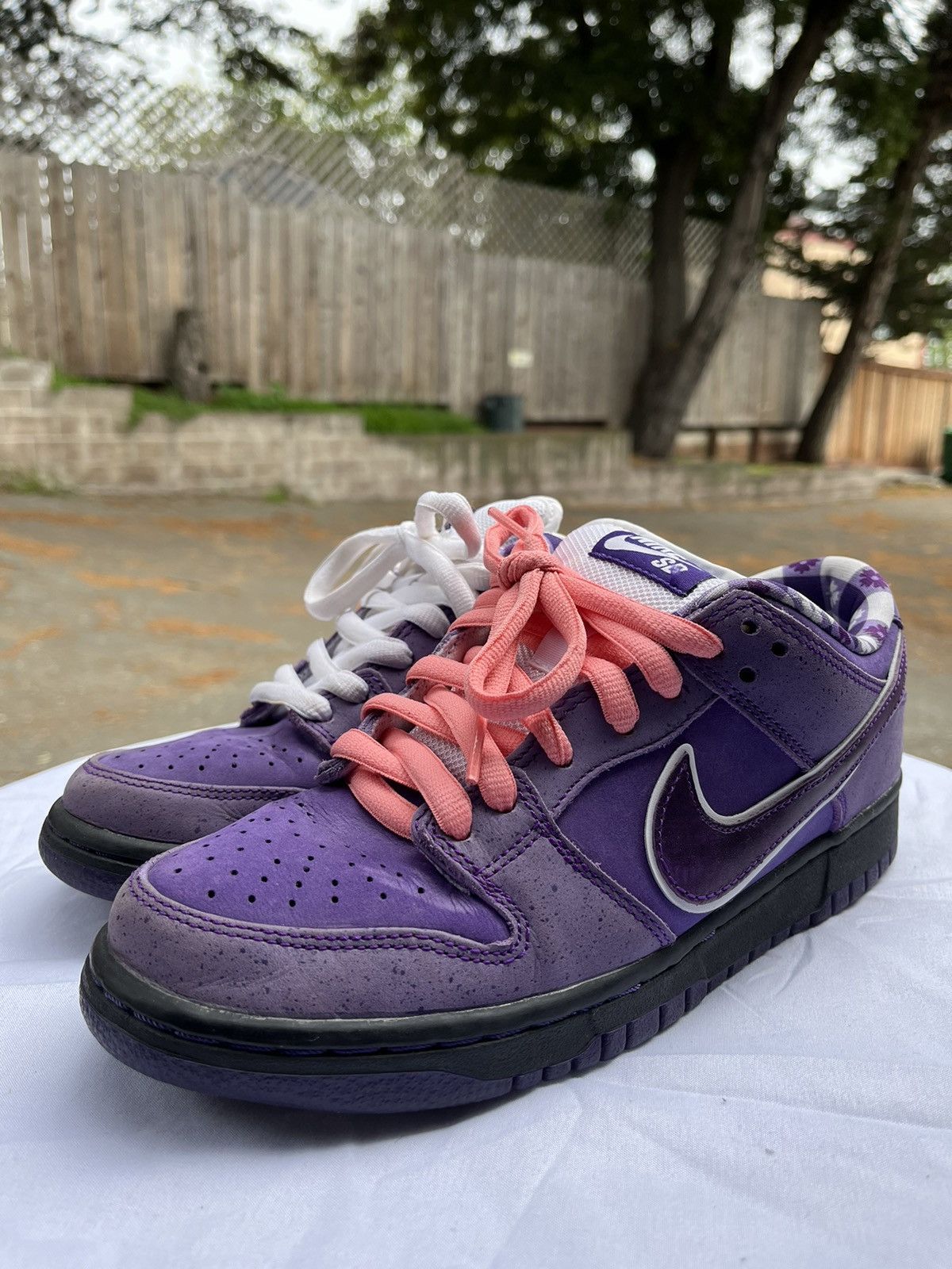 Nike sb x concepts purple lobster dunk low best sale