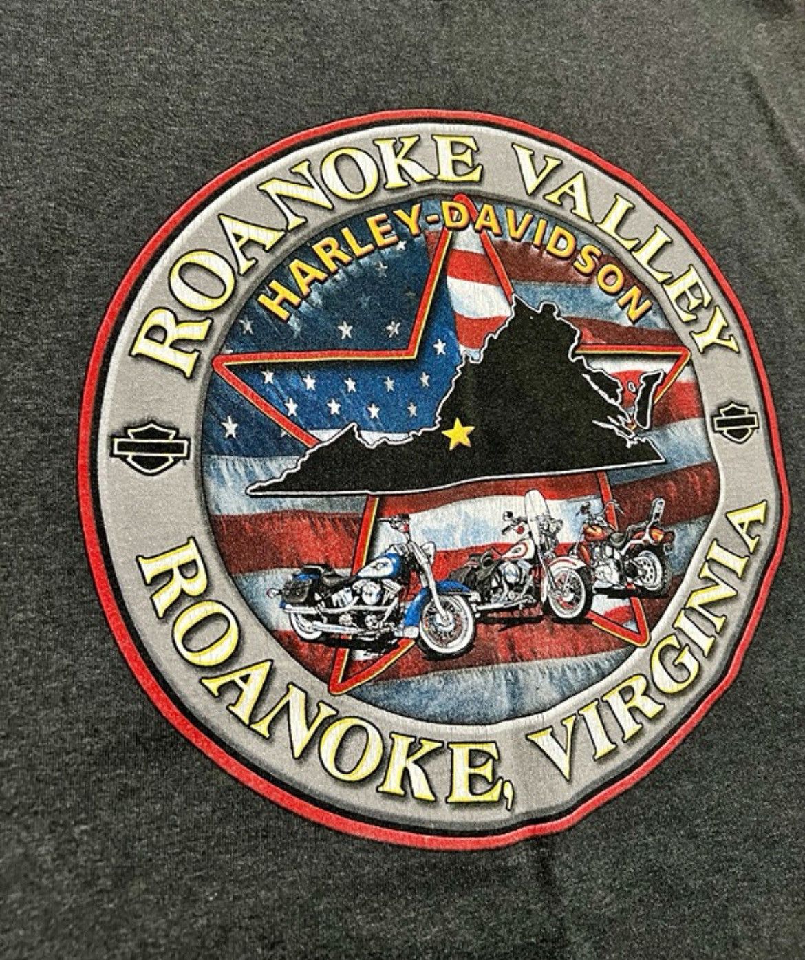 Harley Davidson Harley Davidson Roanoke Valley Virginia Sleeveless Shirt Size US L / EU 52-54 / 3 - 3 Thumbnail