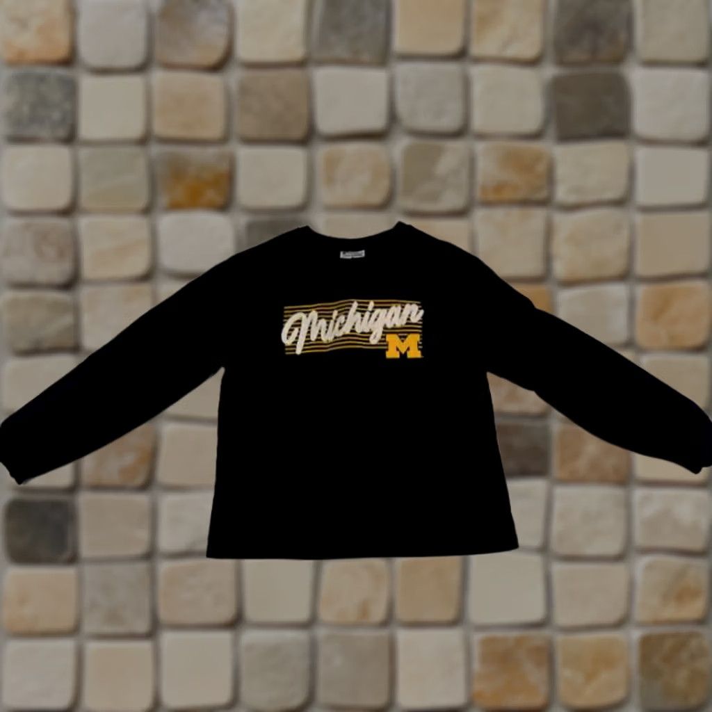 Champion Vintage Michigan Woverines Stitched Blue Medium Sweatshirt Champion Size M / US 6-8 / IT 42-44 - 1 Thumbnail