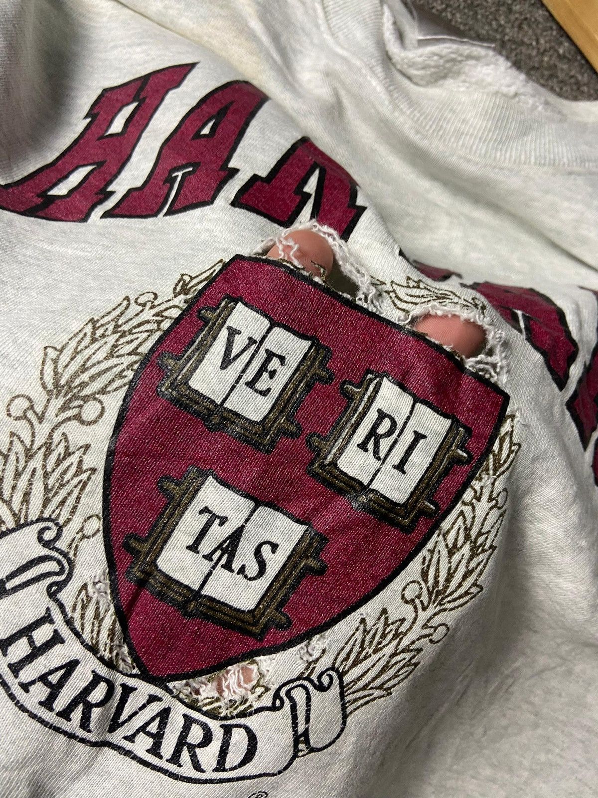 Fruit Of The Loom Fruit of The Loom Harvard Crewneck Sweatshirt (170) Size US L / EU 52-54 / 3 - 10 Thumbnail