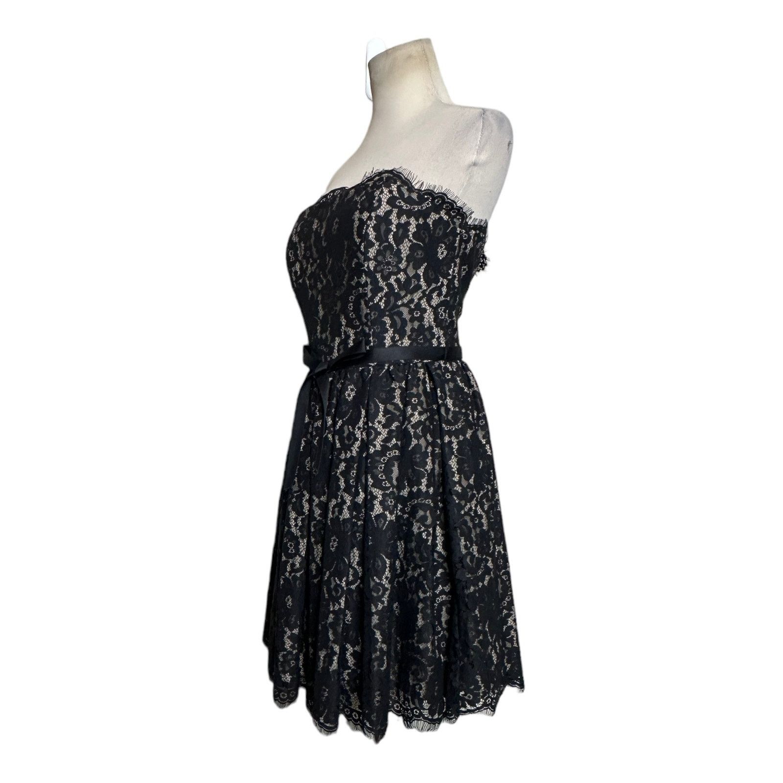 Robert Rodriguez Robert Rodriguez Lace Strapless Party Cocktail Dress Size 6 Size M / US 6-8 / IT 42-44 - 13 Thumbnail