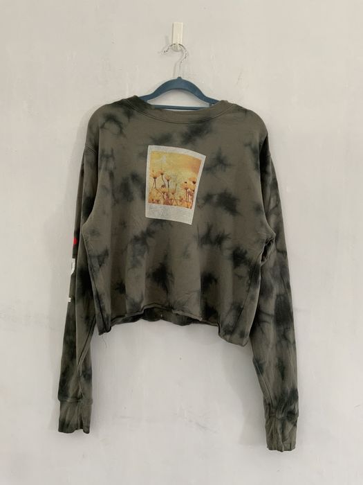 Polaroid crop hotsell top sweatshirt