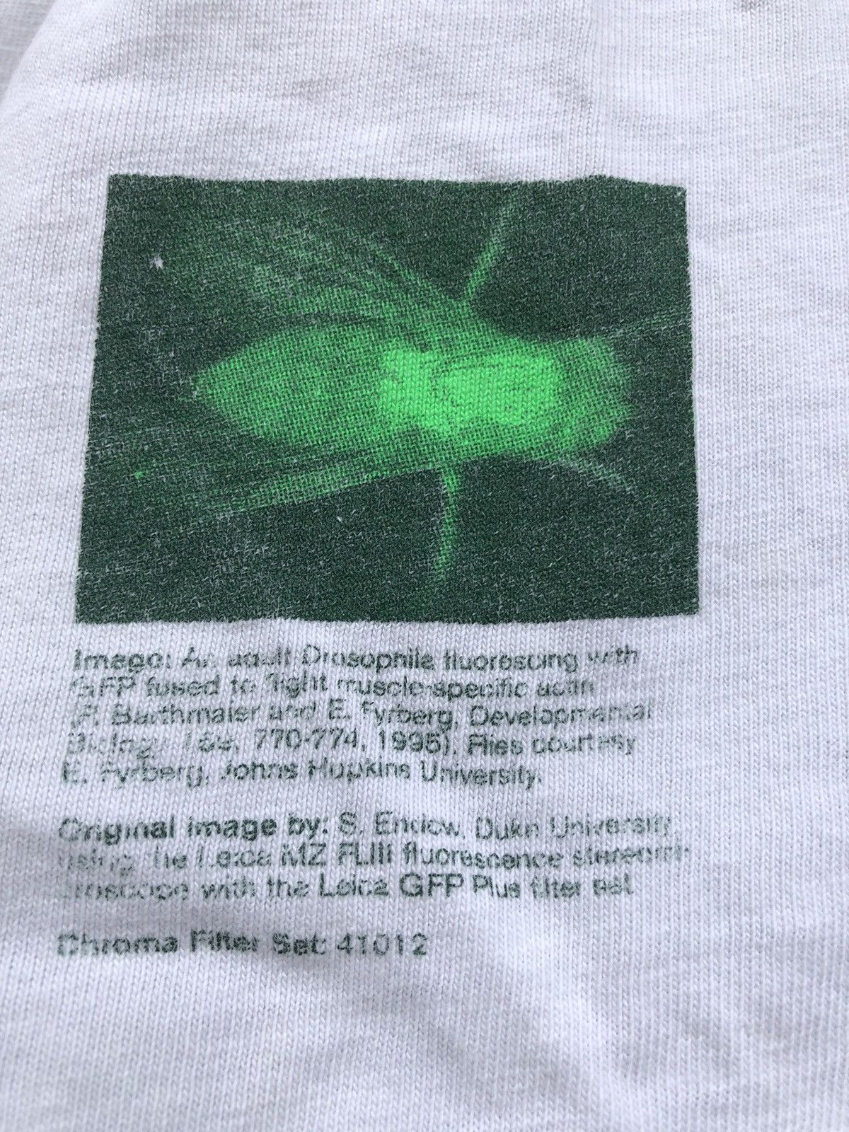 Vintage Vintage 90s Chroma Technology Corp Promo Tee Size US XL / EU 56 / 4 - 11 Thumbnail