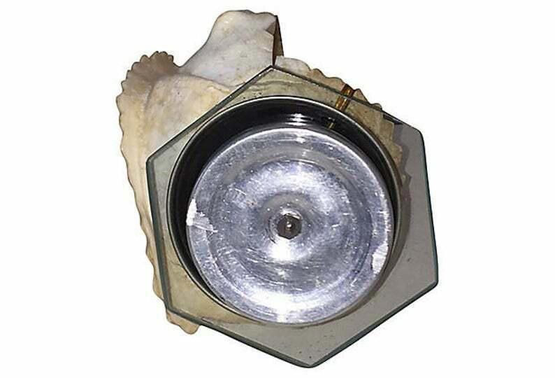 Designer Napoli Conch Souvenir Lamp Size ONE SIZE - 6 Thumbnail