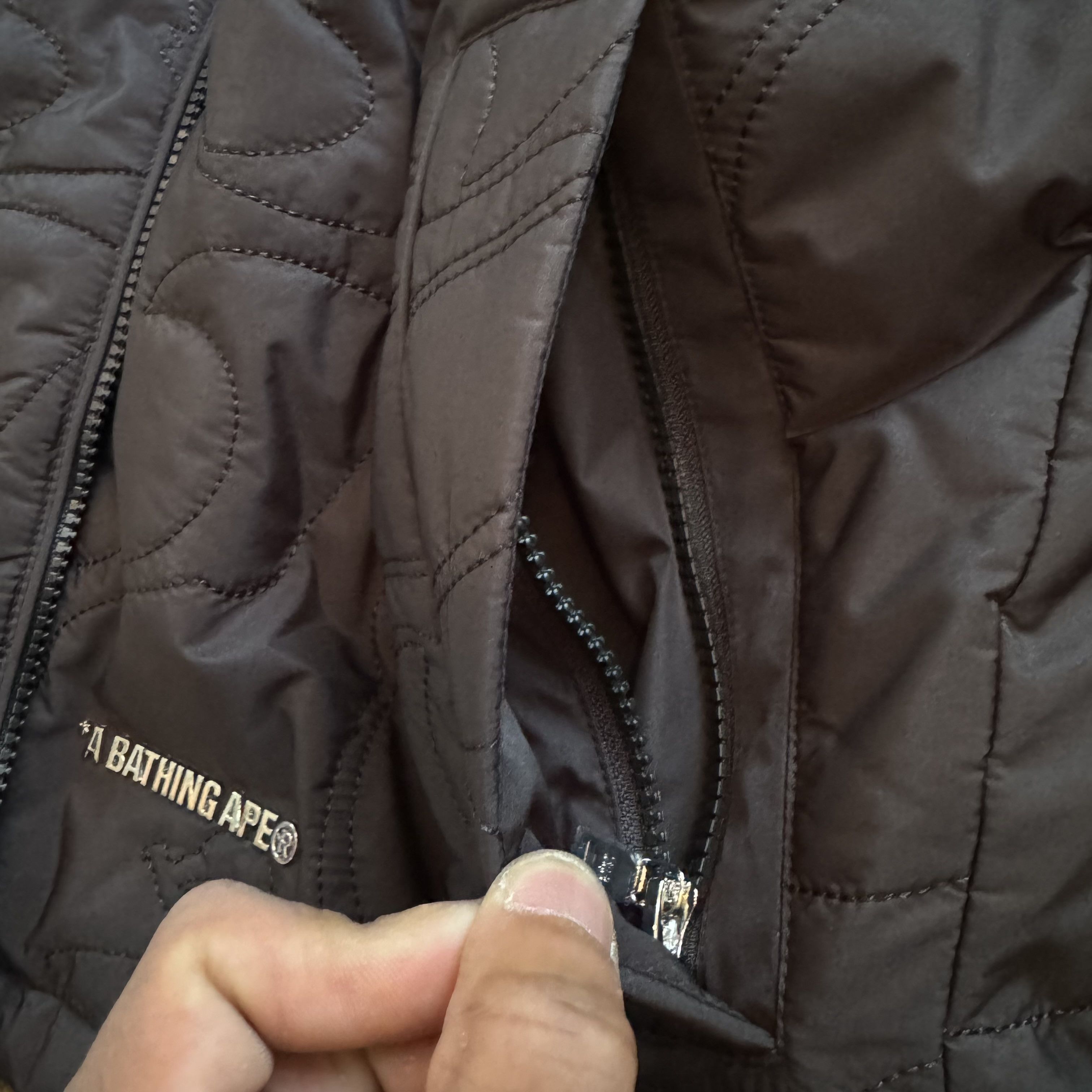 Shark Jacket