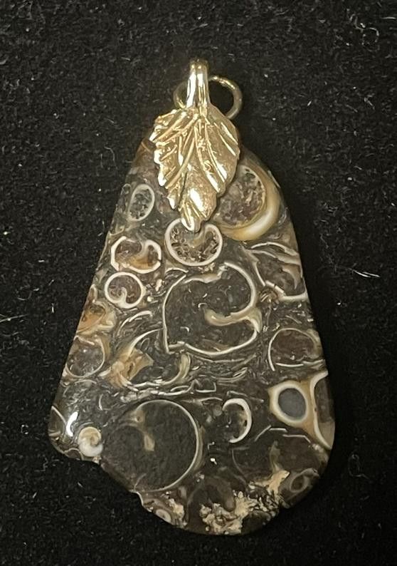 Designer Turritella Fossil Pendant Size ONE SIZE - 2 Thumbnail