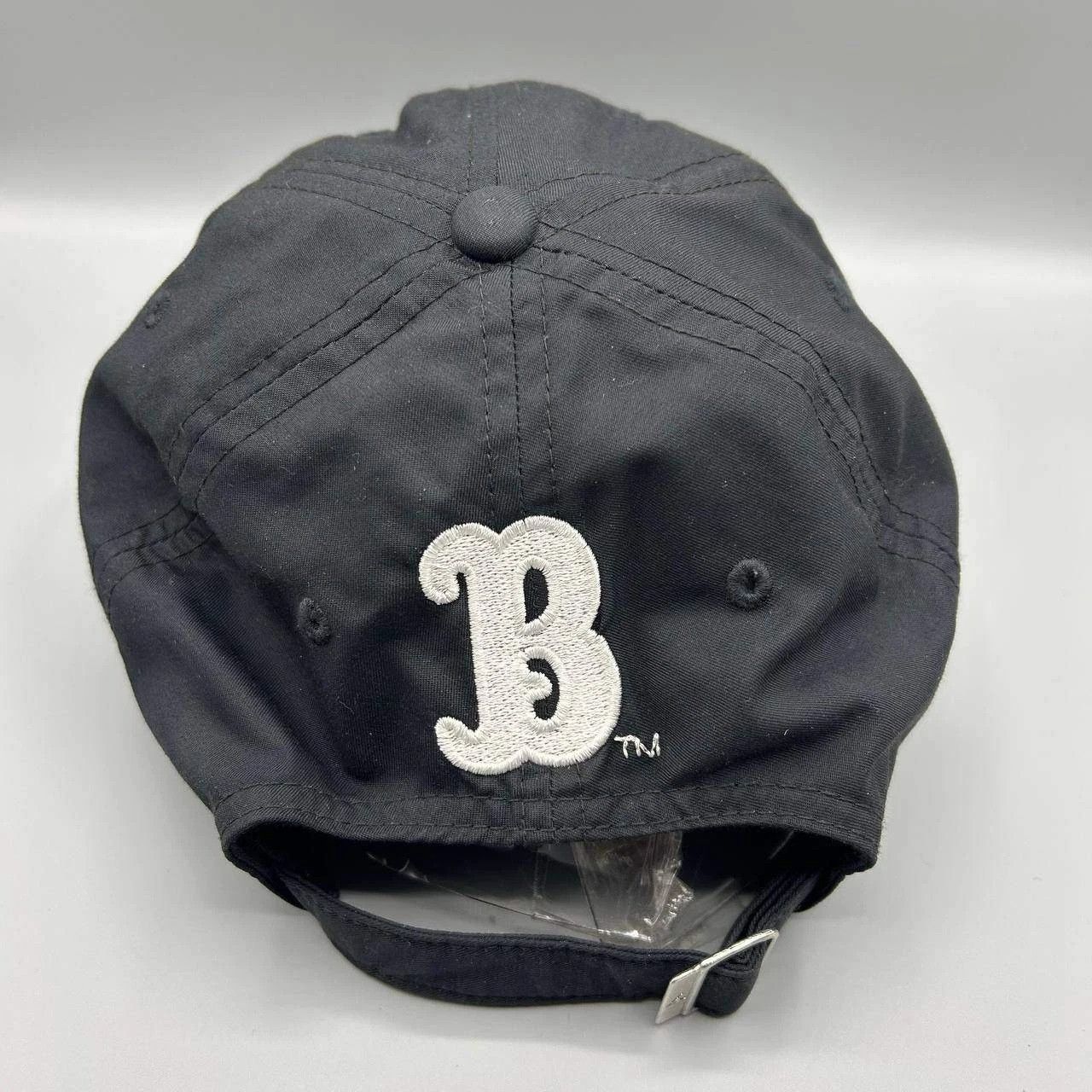 Jordan Brand UCLA Bruins x Air Jordan Hat Men NCAA Strap Back Cotton Size ONE SIZE - 5 Thumbnail