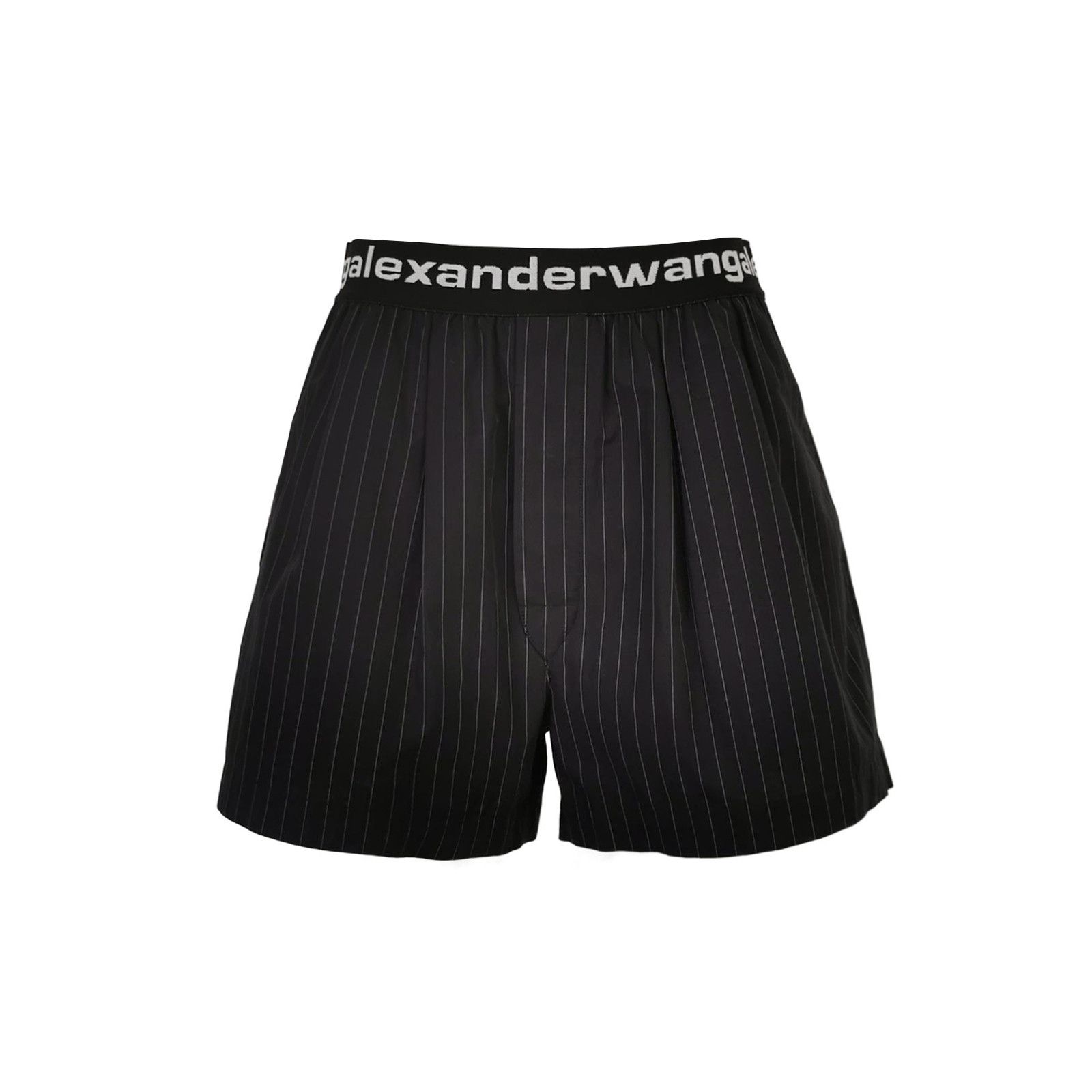 Alexander Wang Alexander Wang Pinstripe Logo Shorts Size S Size US 30 / EU 46 - 1 Thumbnail
