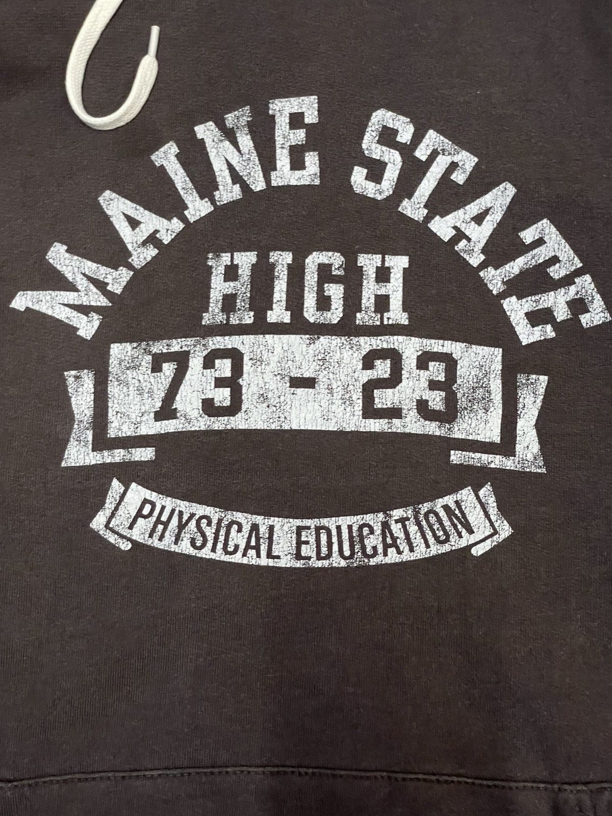Champion × Vintage Vintage Champion Maine State Hoodie Size US XL / EU 56 / 4 - 4 Thumbnail